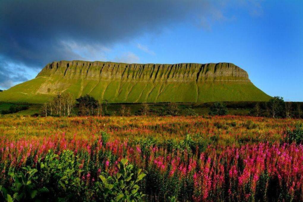 Fantastic City Centre Property in Sligo