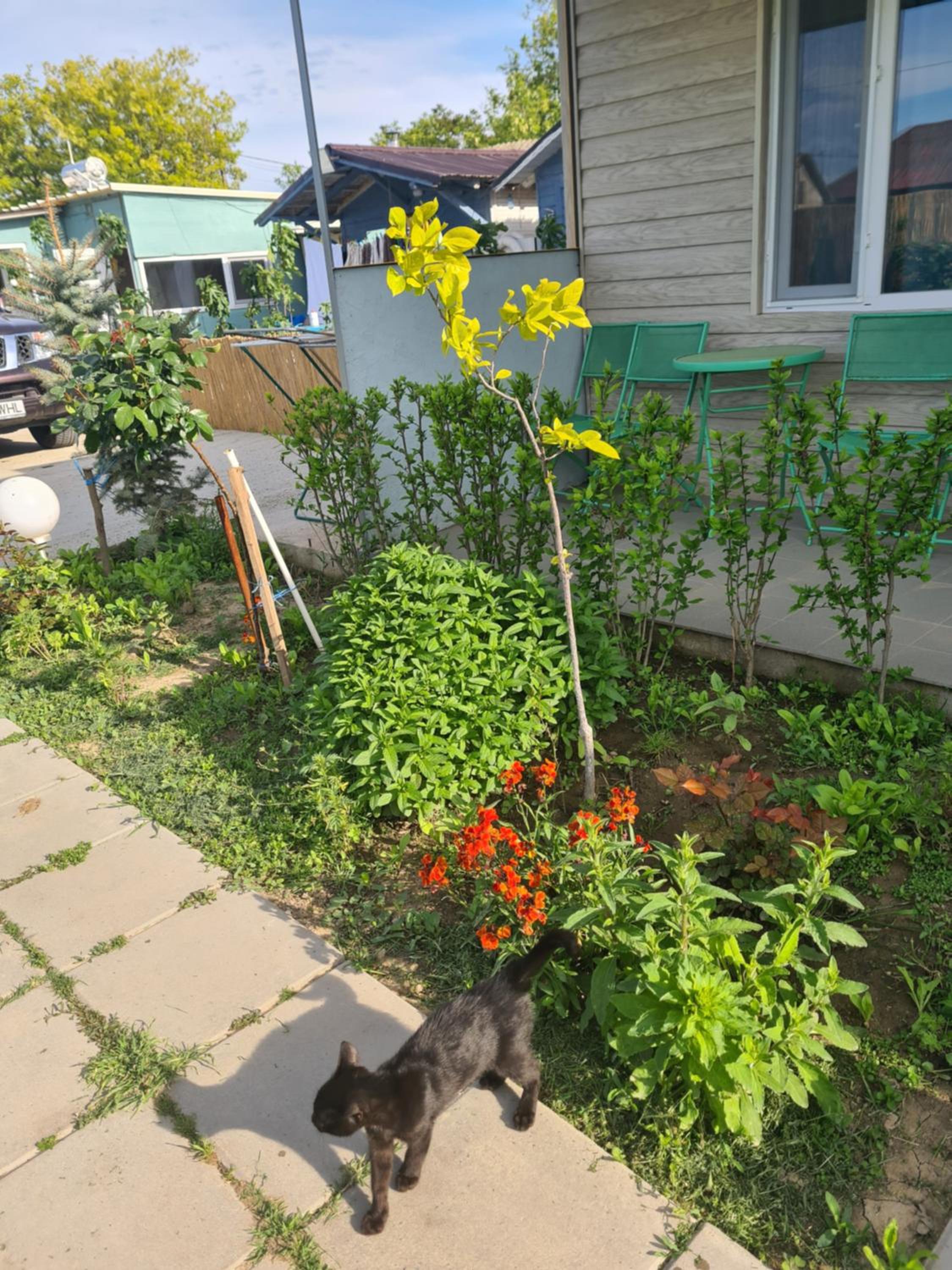 Photo 23