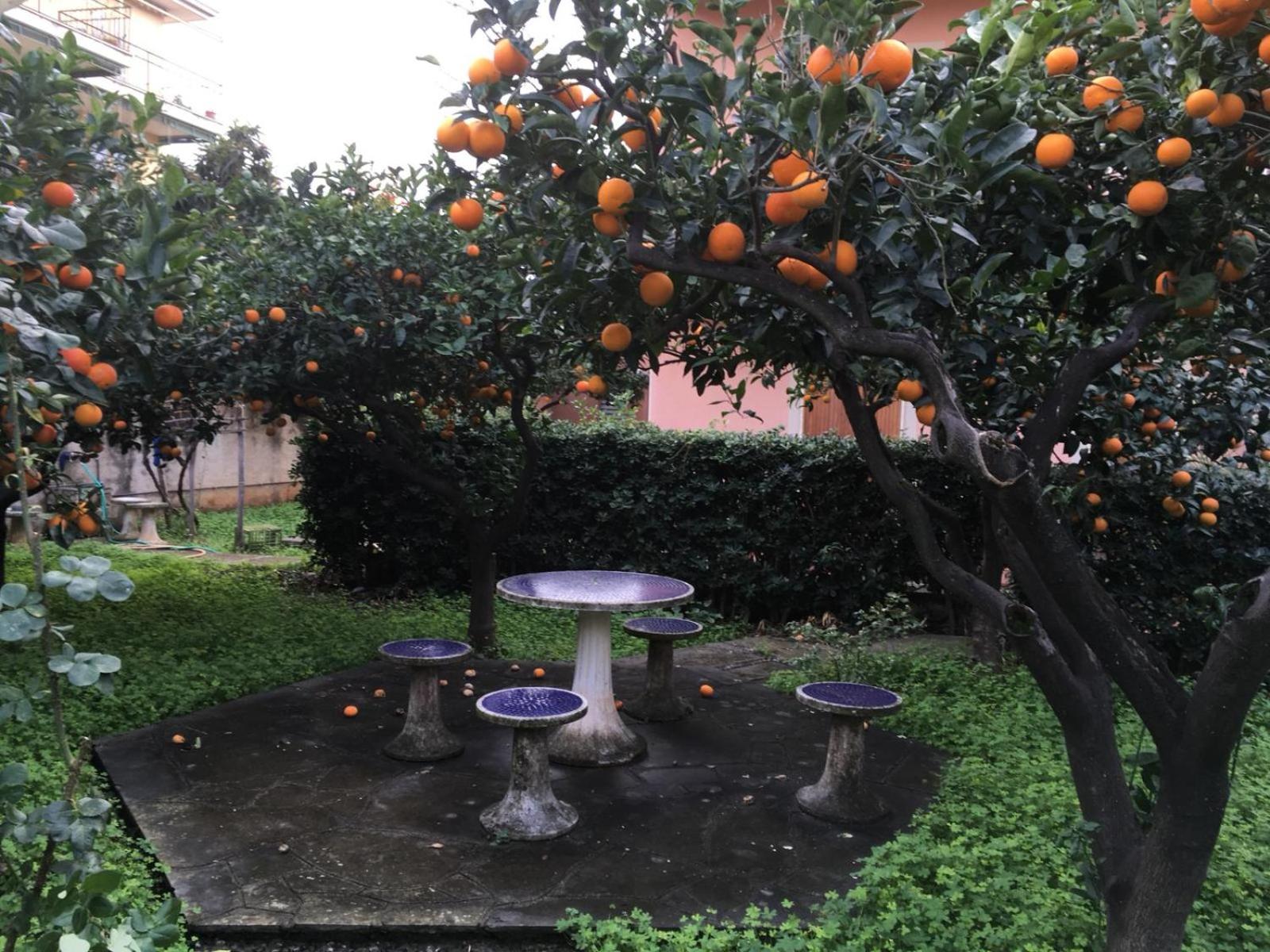 Appartamento in Villa photo 2