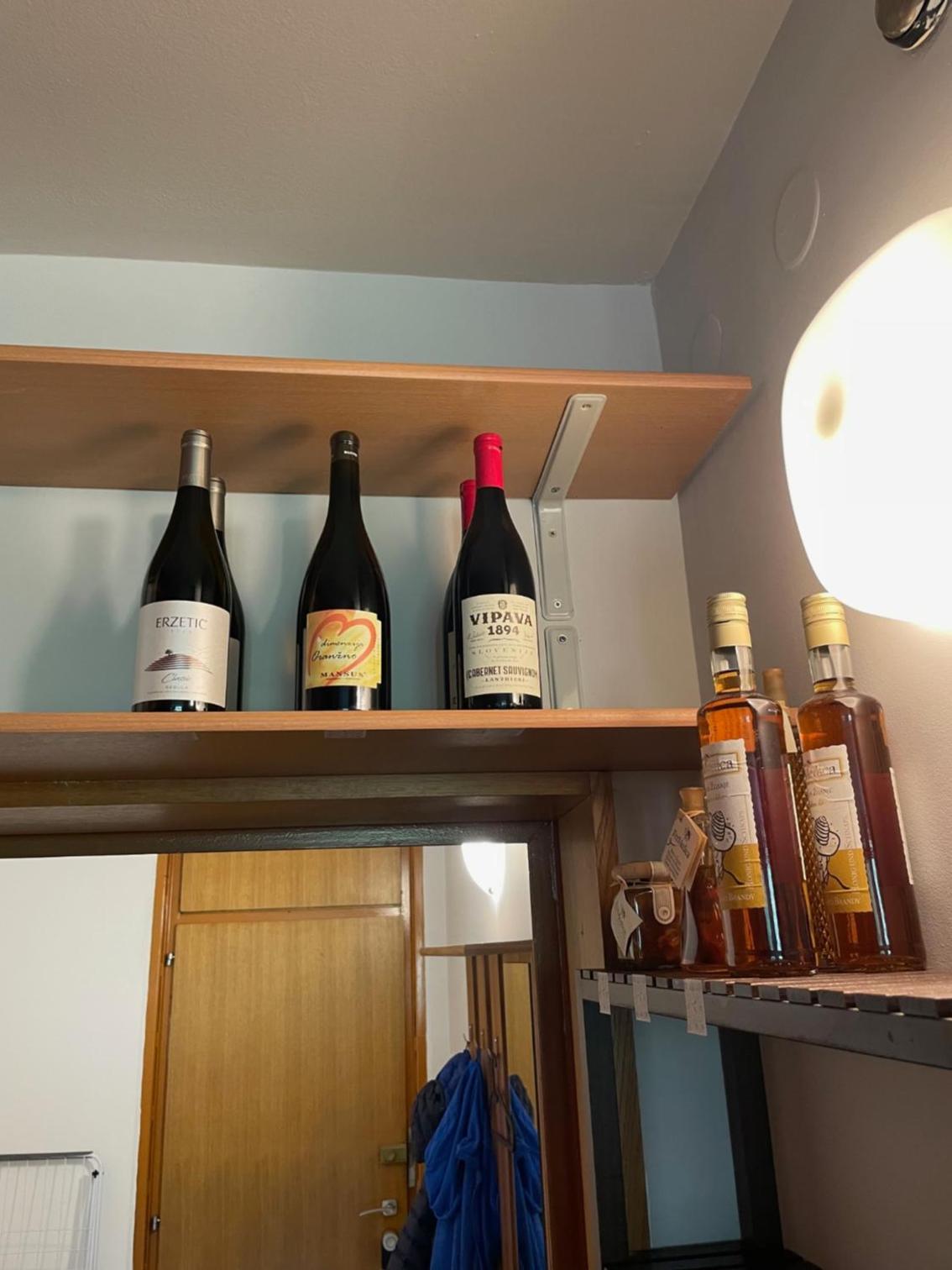 Apartment in Ljubljana center