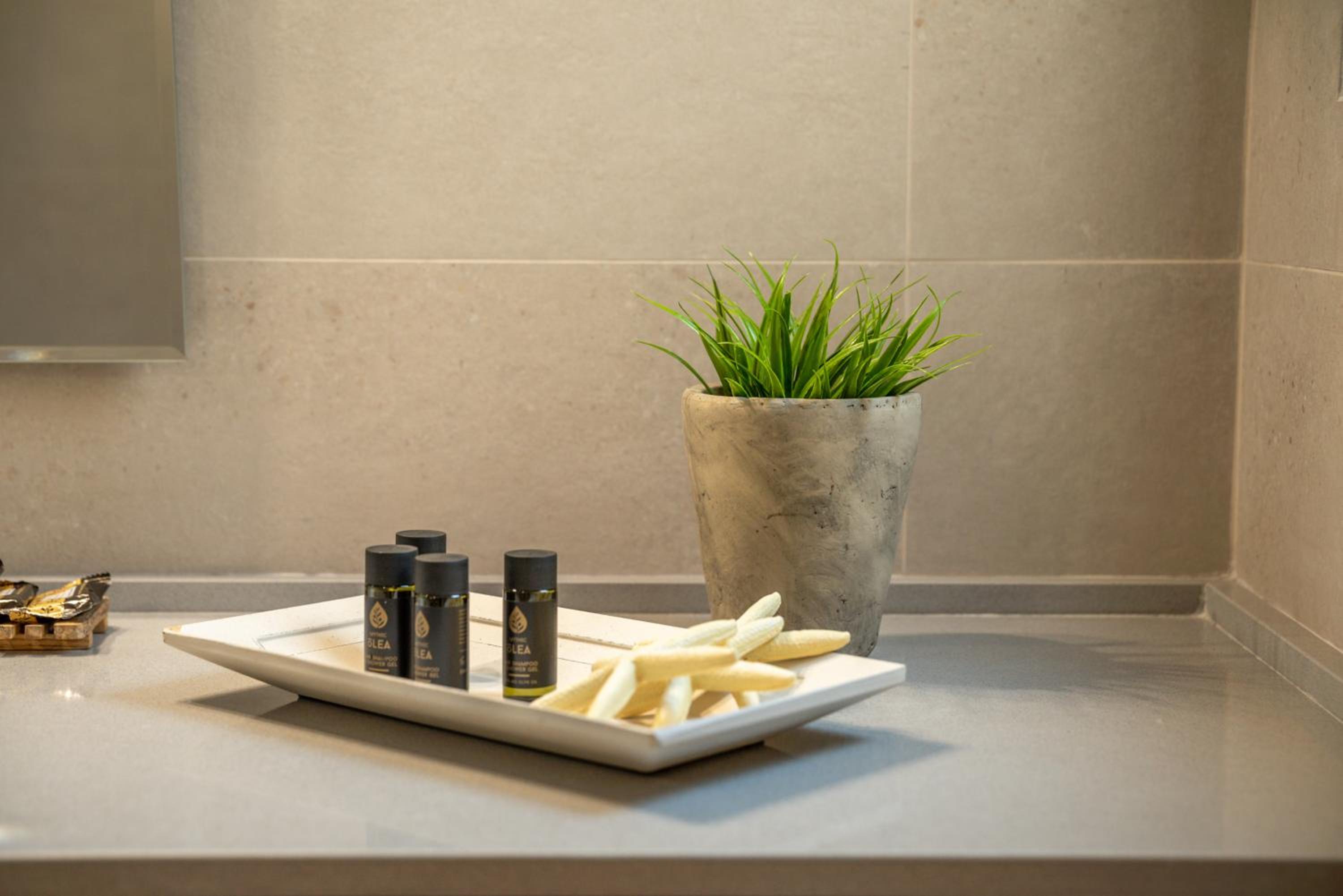 Koutris Apartment 1