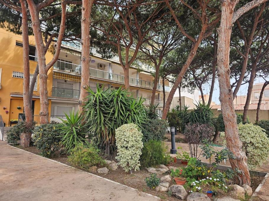 Garden and beach
