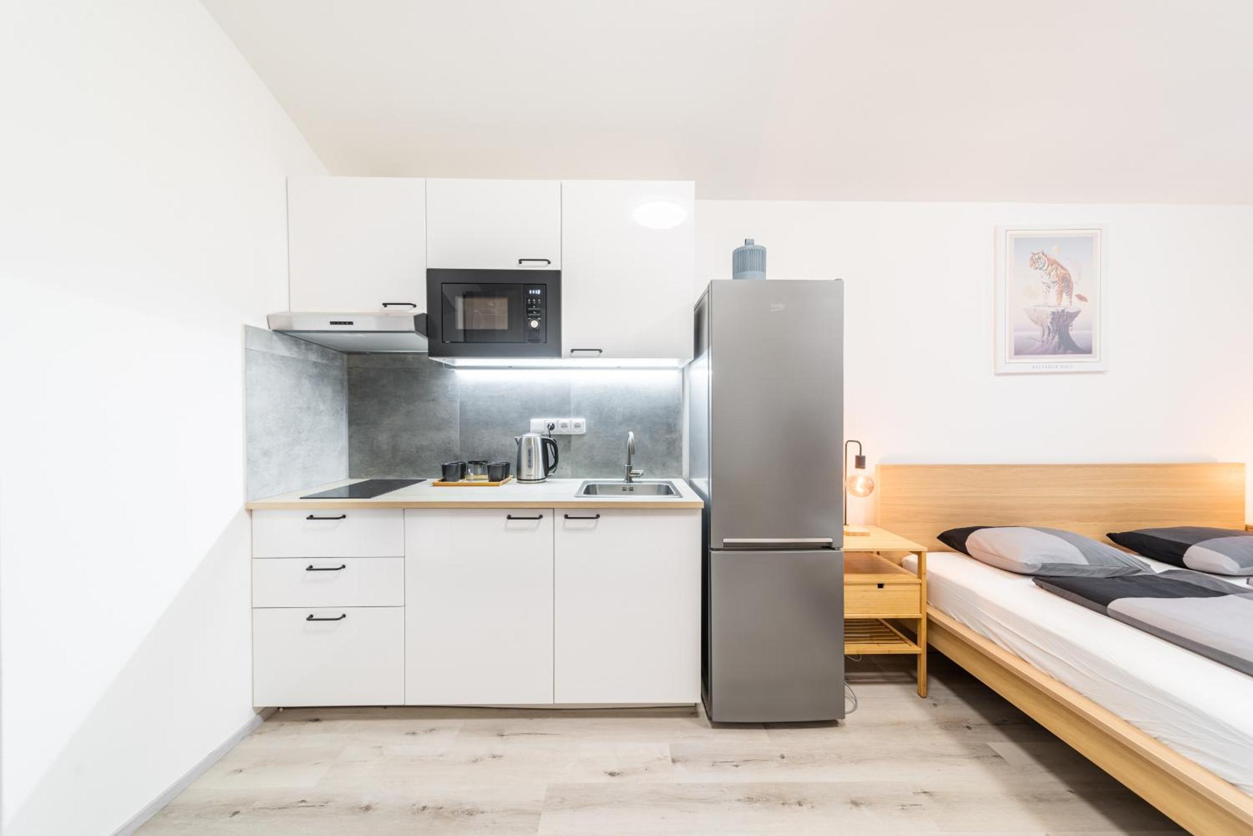Apartments Borivojova 63