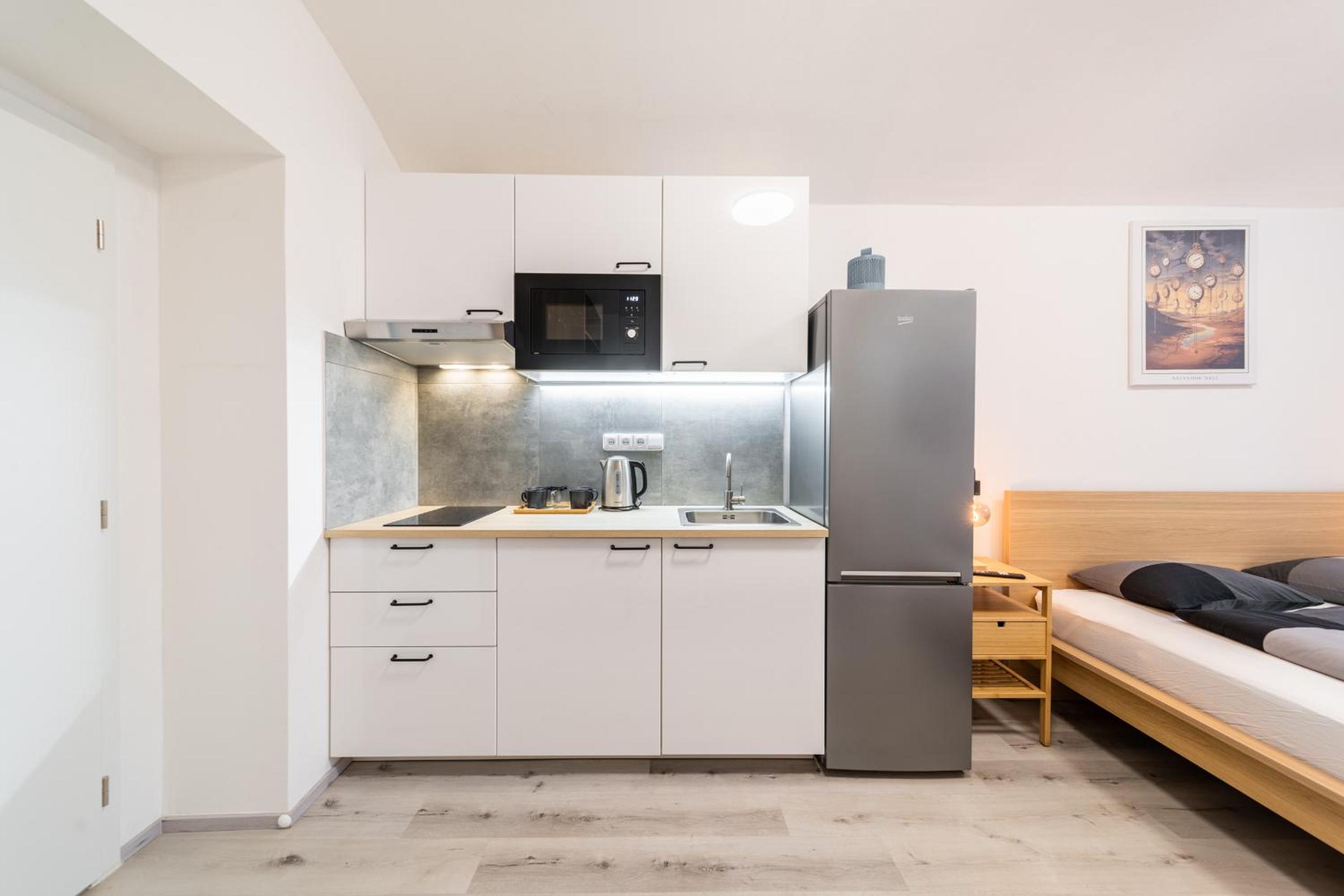 Apartments Borivojova 63