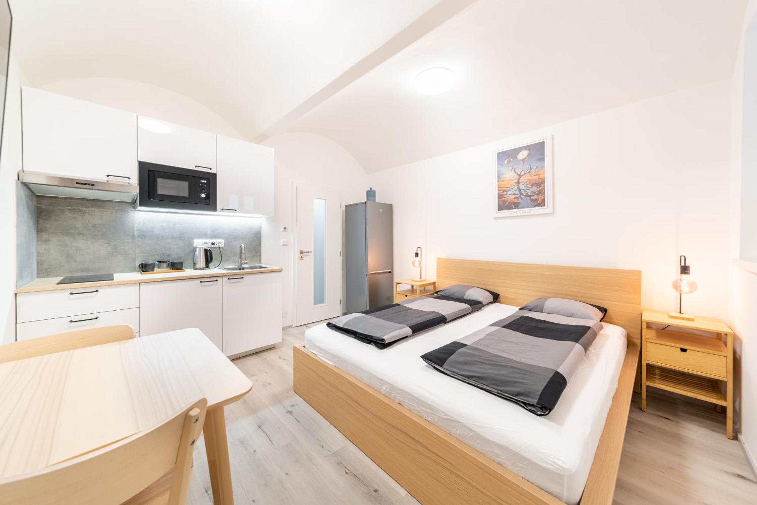 Apartments Borivojova 63