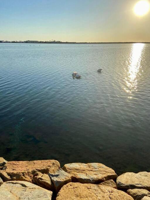 Apartamento de playa Galicia