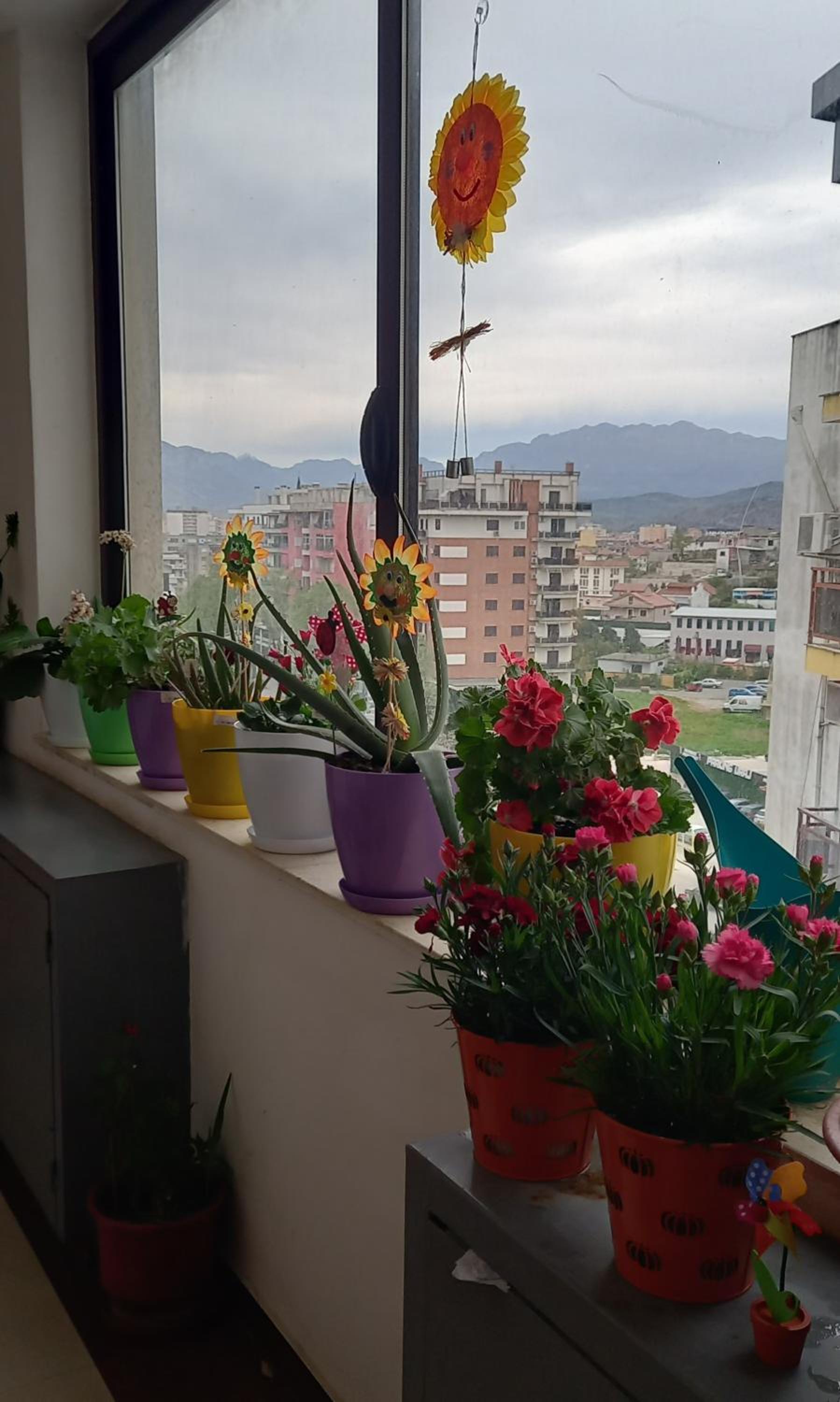 Panoramic apartment