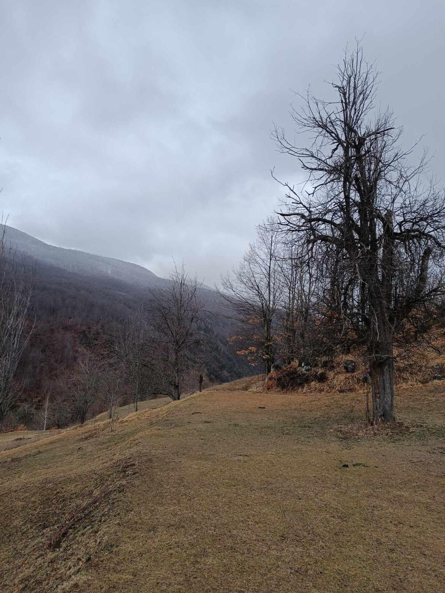 Rrajc Skenderbe