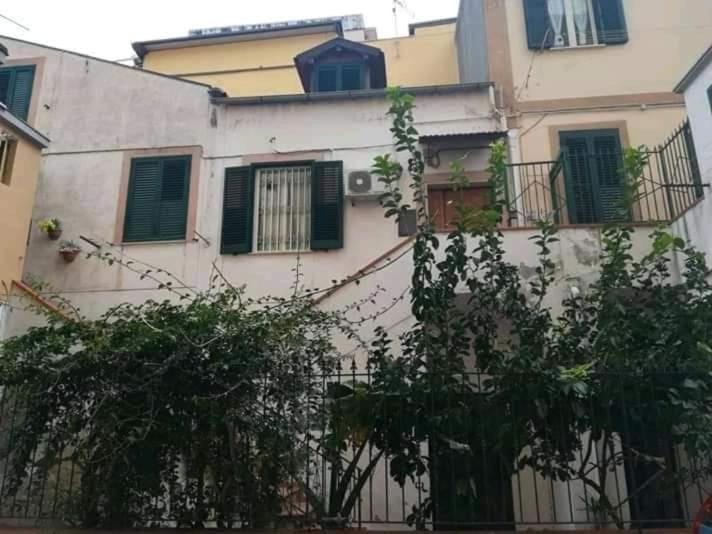 La stella marina photo 3