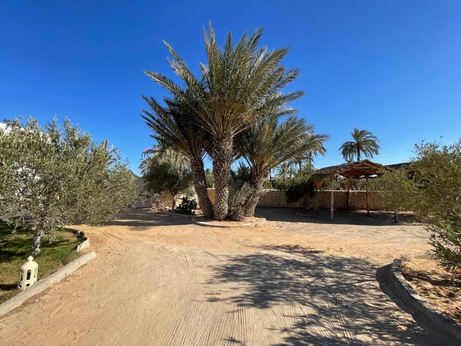 Menzel Al karam, view 4