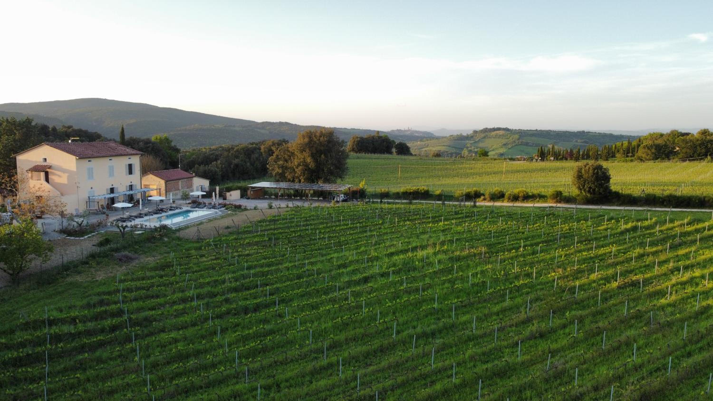 Podere la Fonte Vernaccia & Zafferano view 4