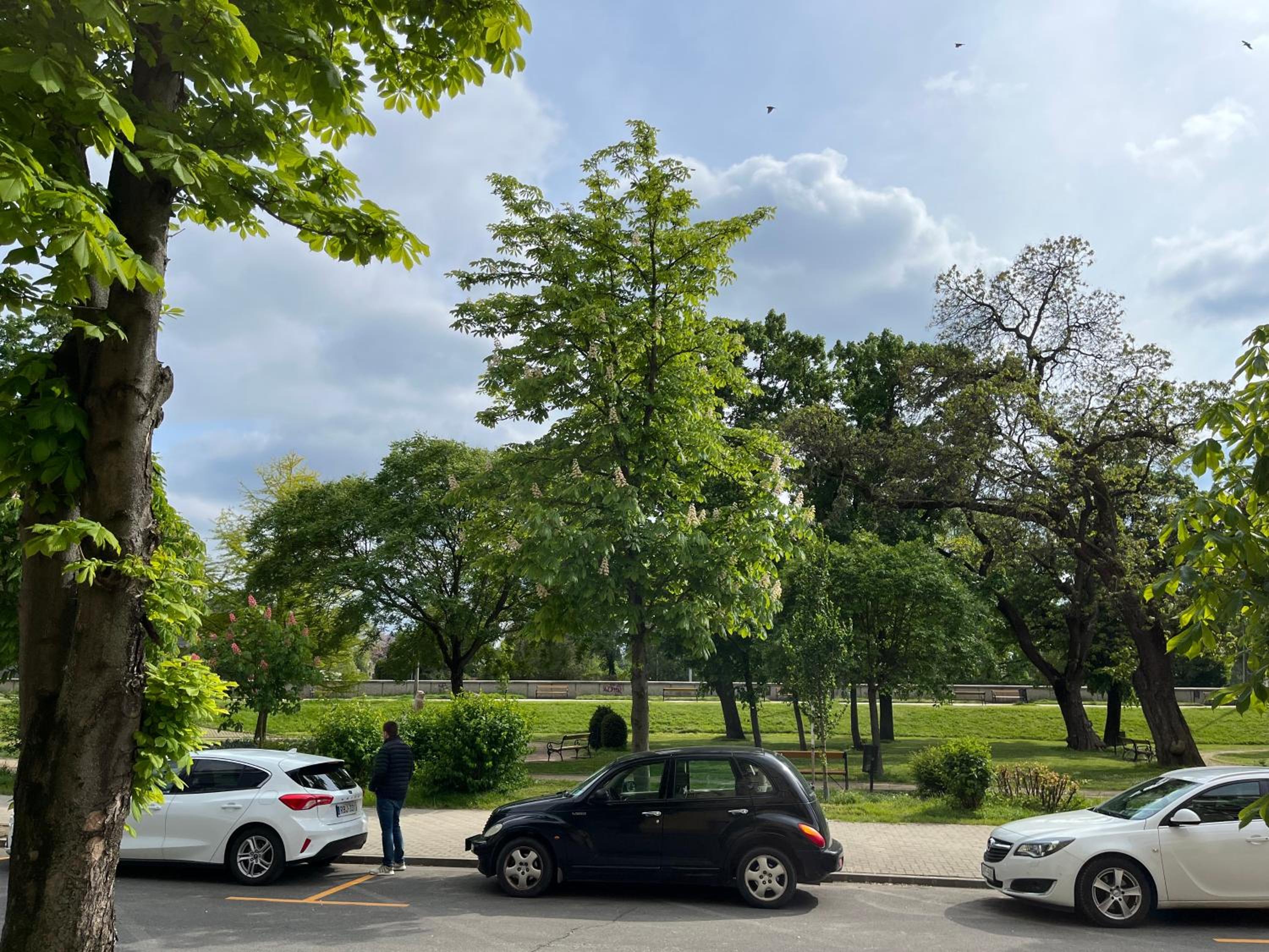 Panorama