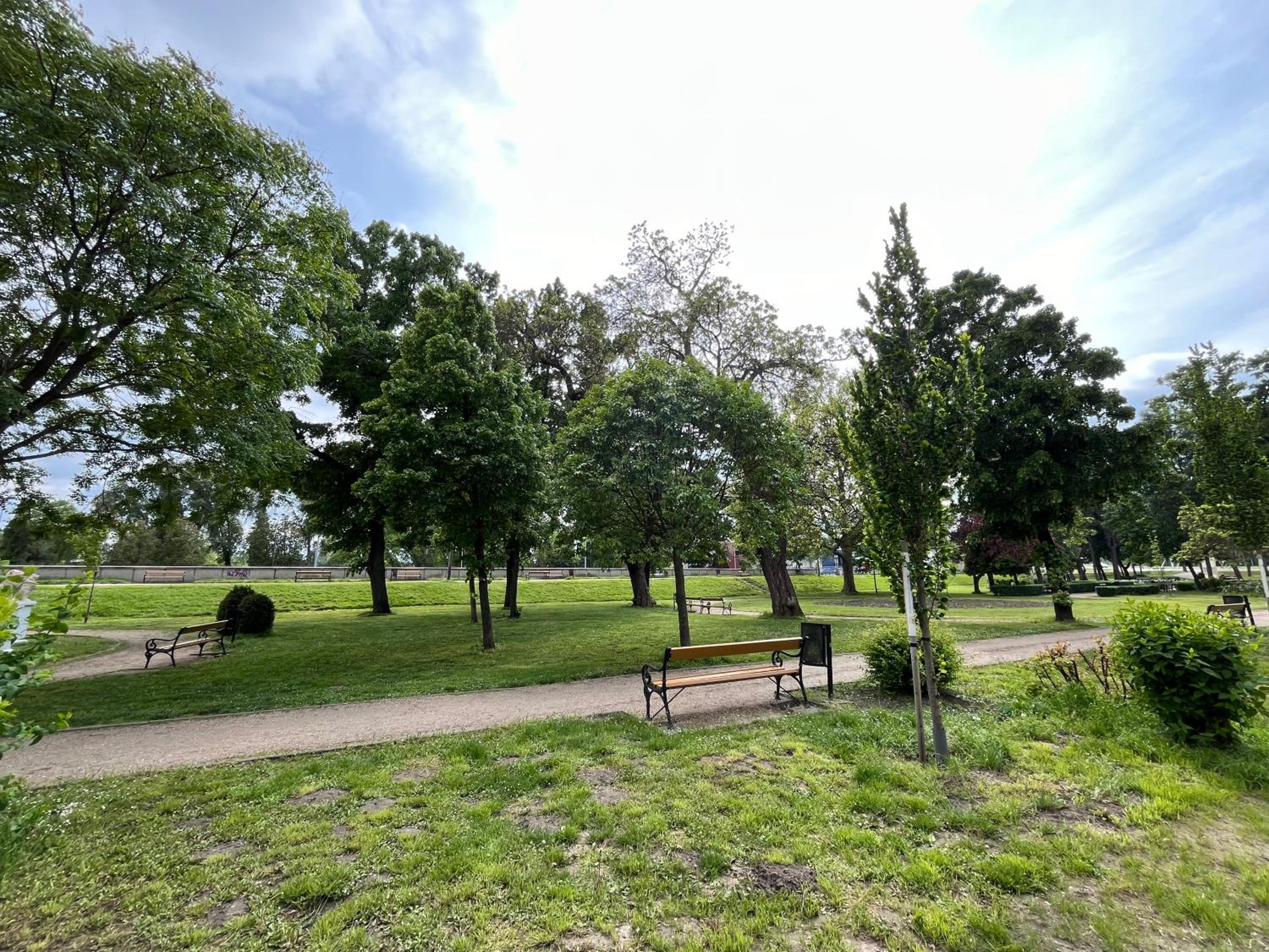 Panorama