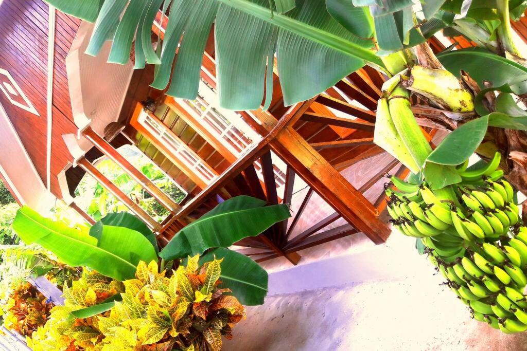 River Breeze Villa, 5 minutes to beach and town view 3