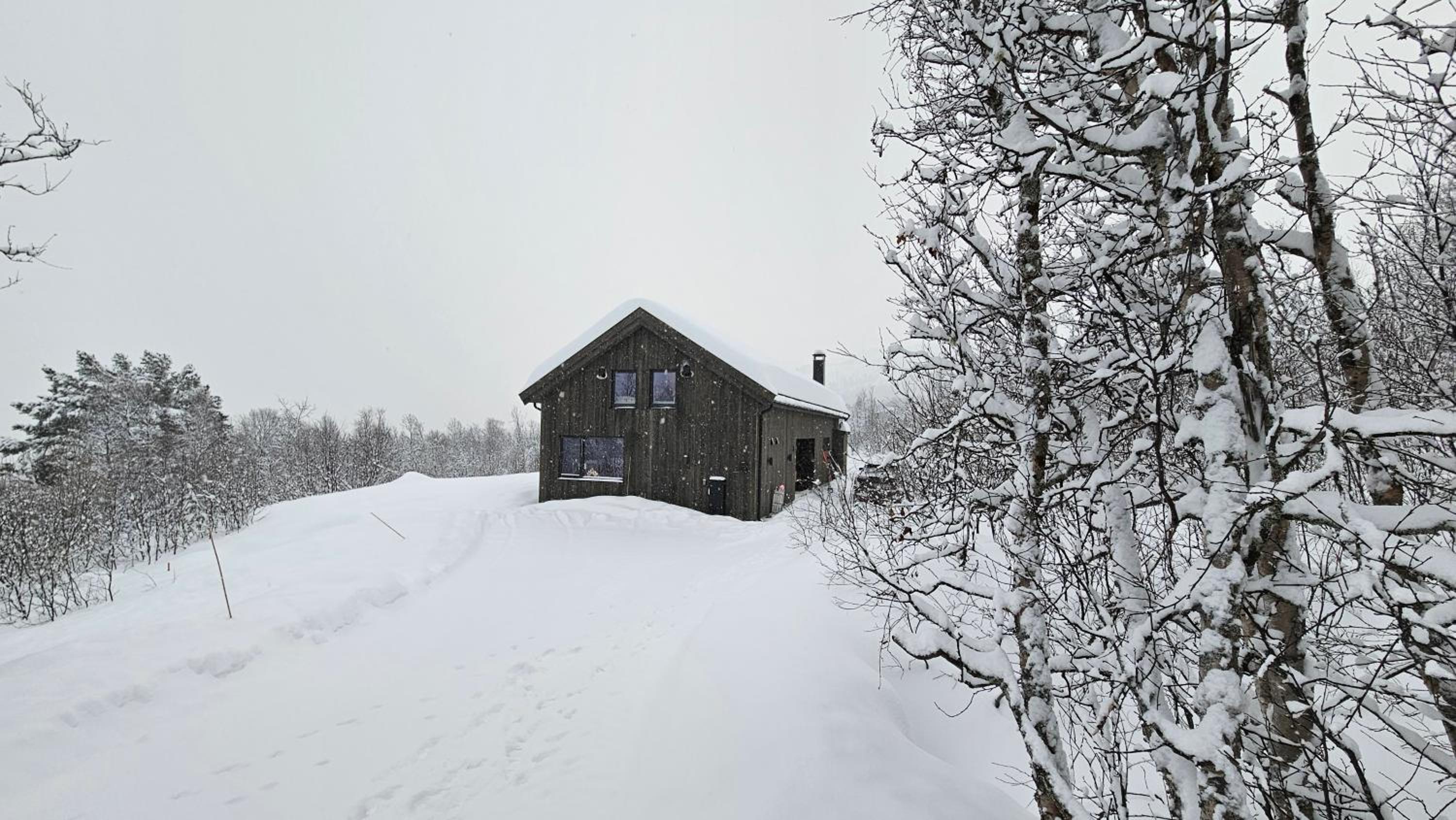 Photo 14