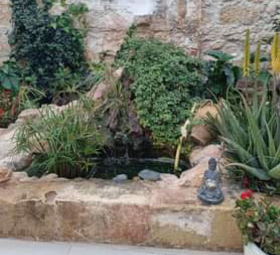 Room in Ain Karem - A Maltese Traditional Townhouse photo 2
