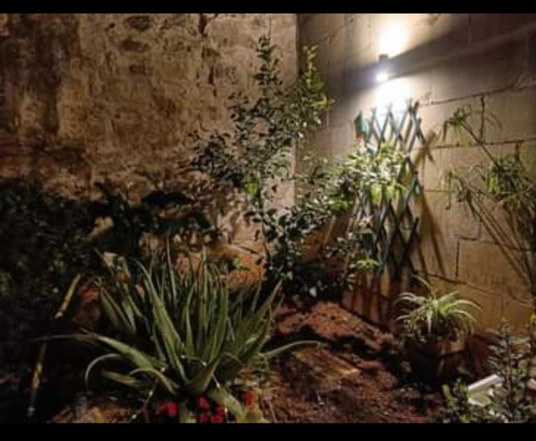 Room in Ain Karem - A Maltese Traditional Townhouse photo 5