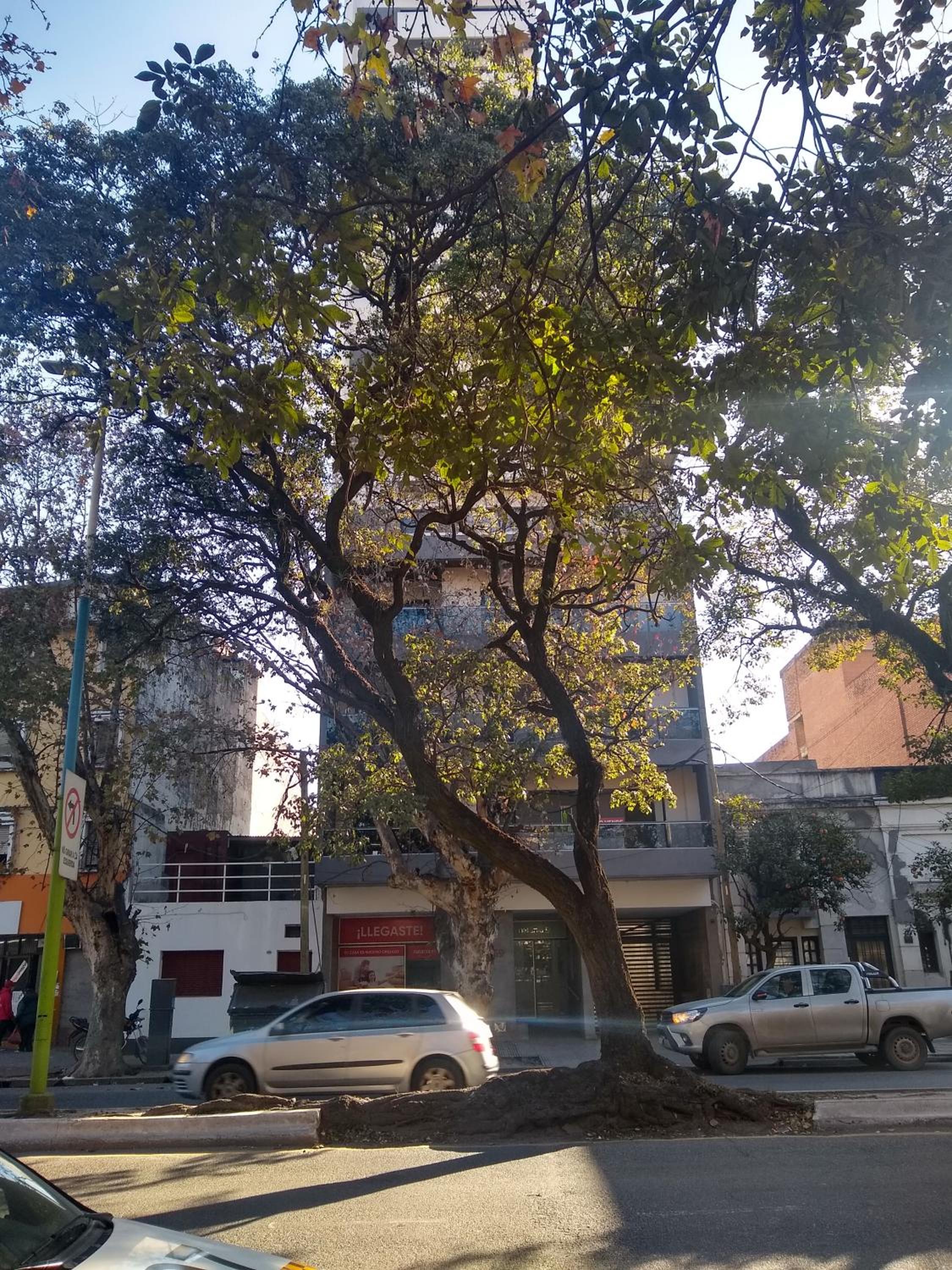 Rincón del Norte