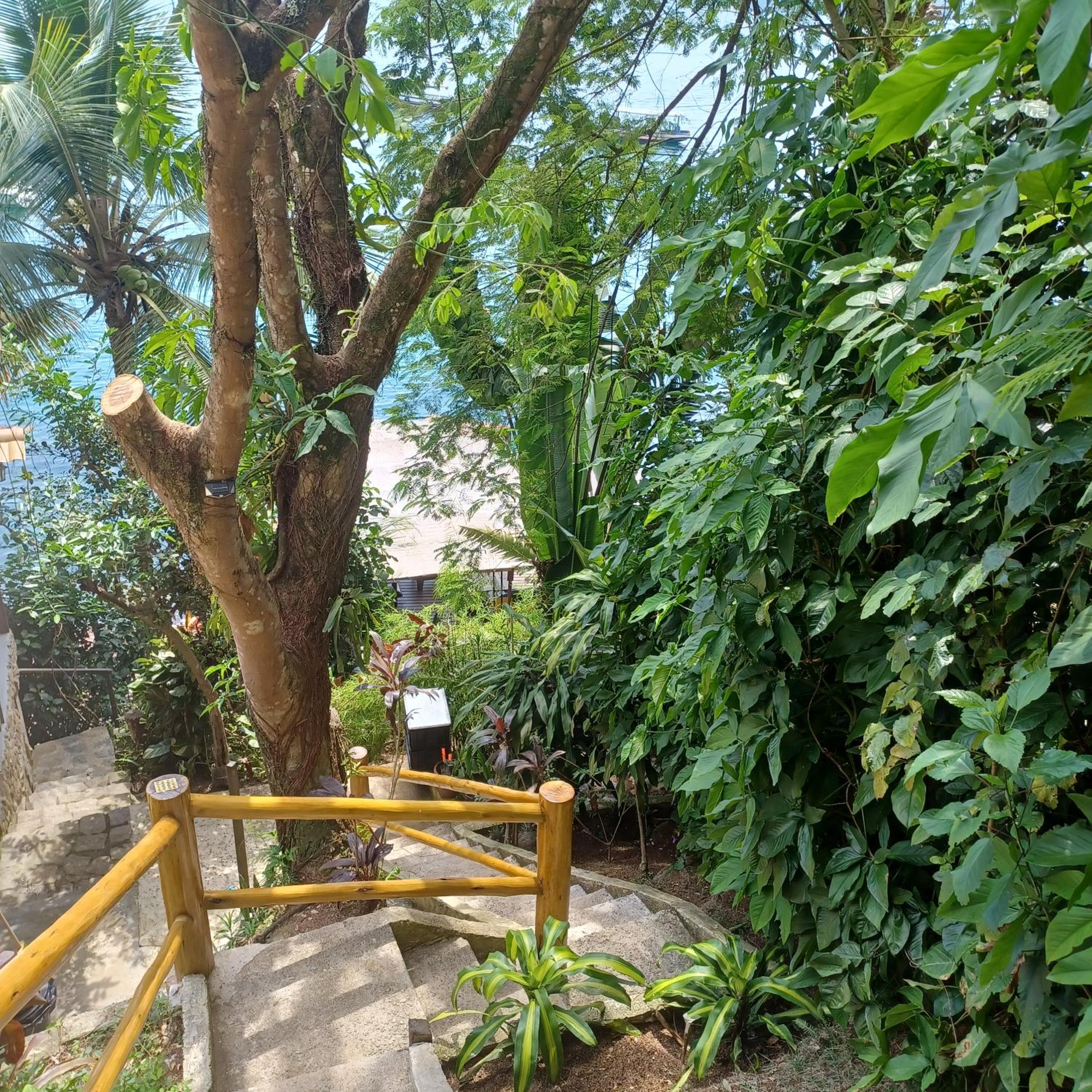 Saracura