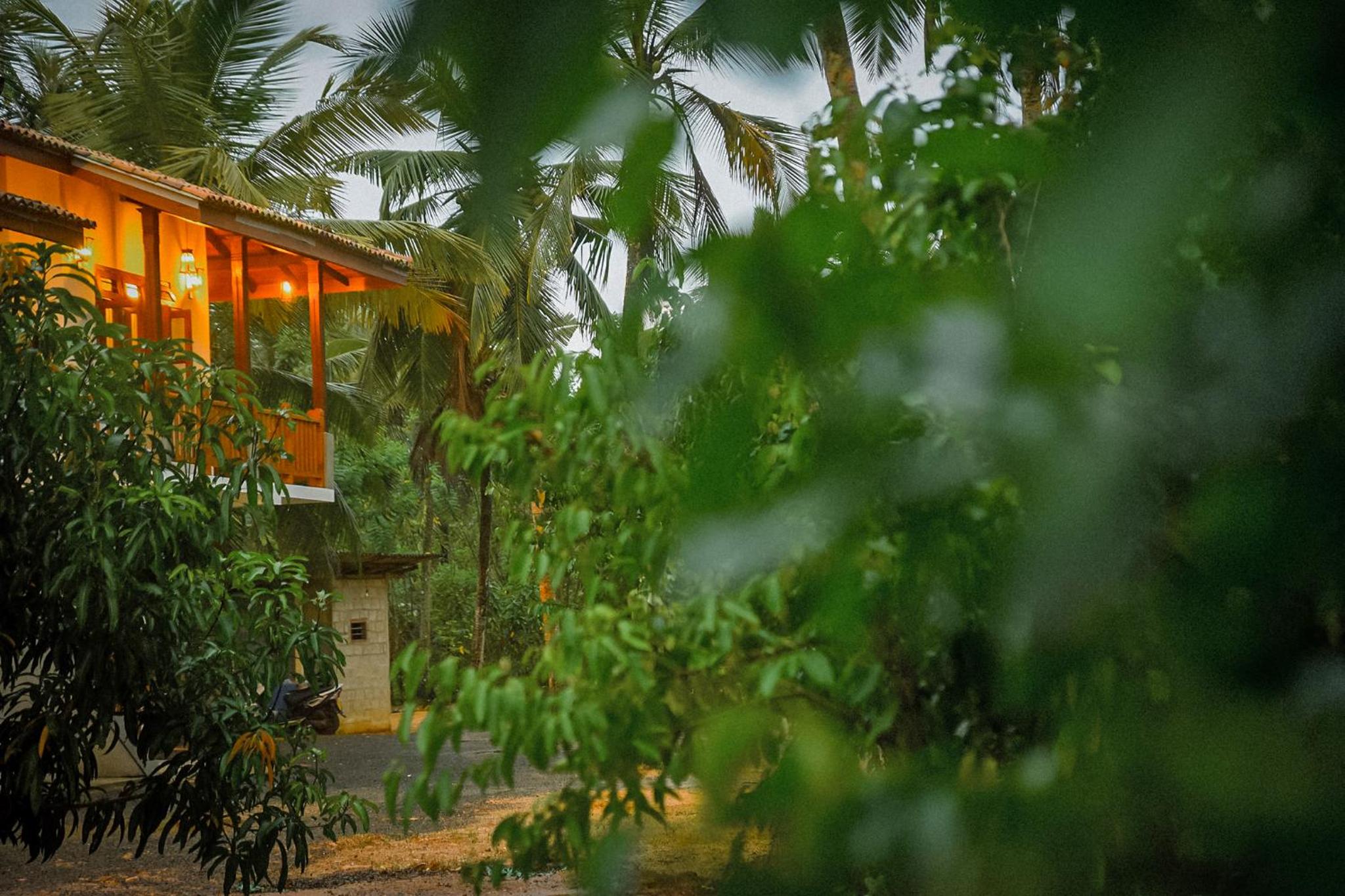 Cinnamon Lagoon Villas view 5