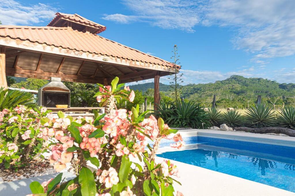 Samara Sunshine Retreat: Cozy Countryside Haven