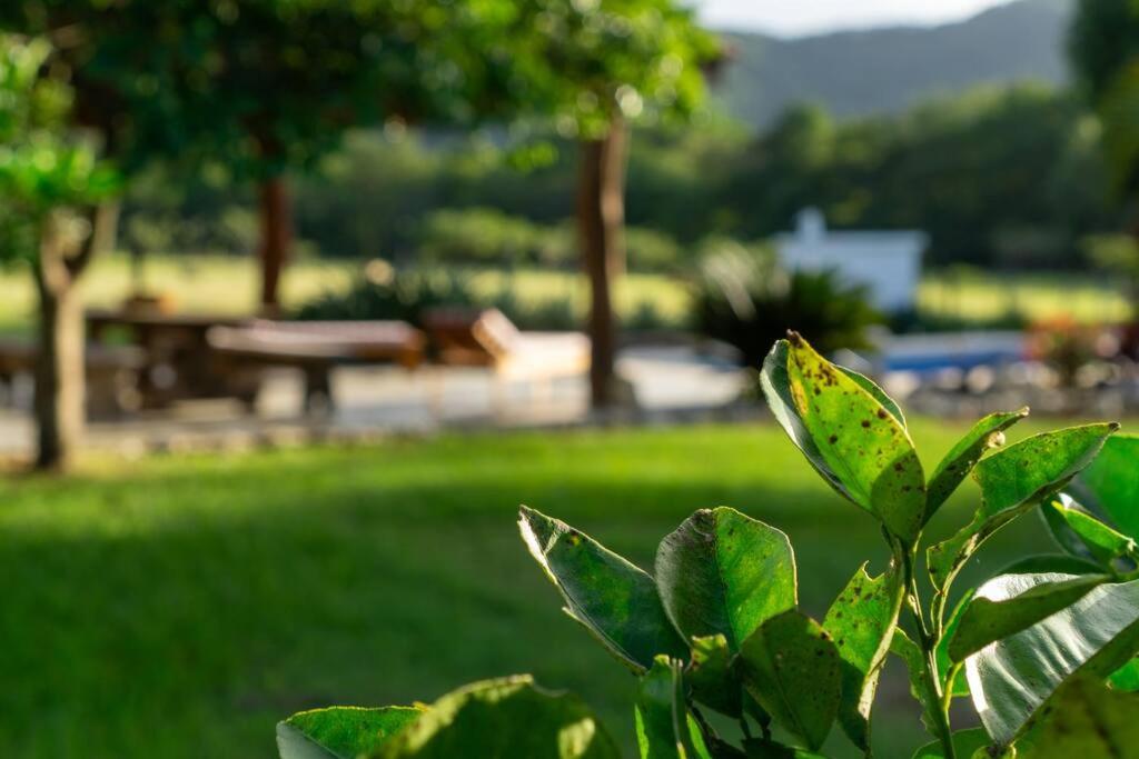 Samara Sunshine Retreat: Cozy Countryside Haven