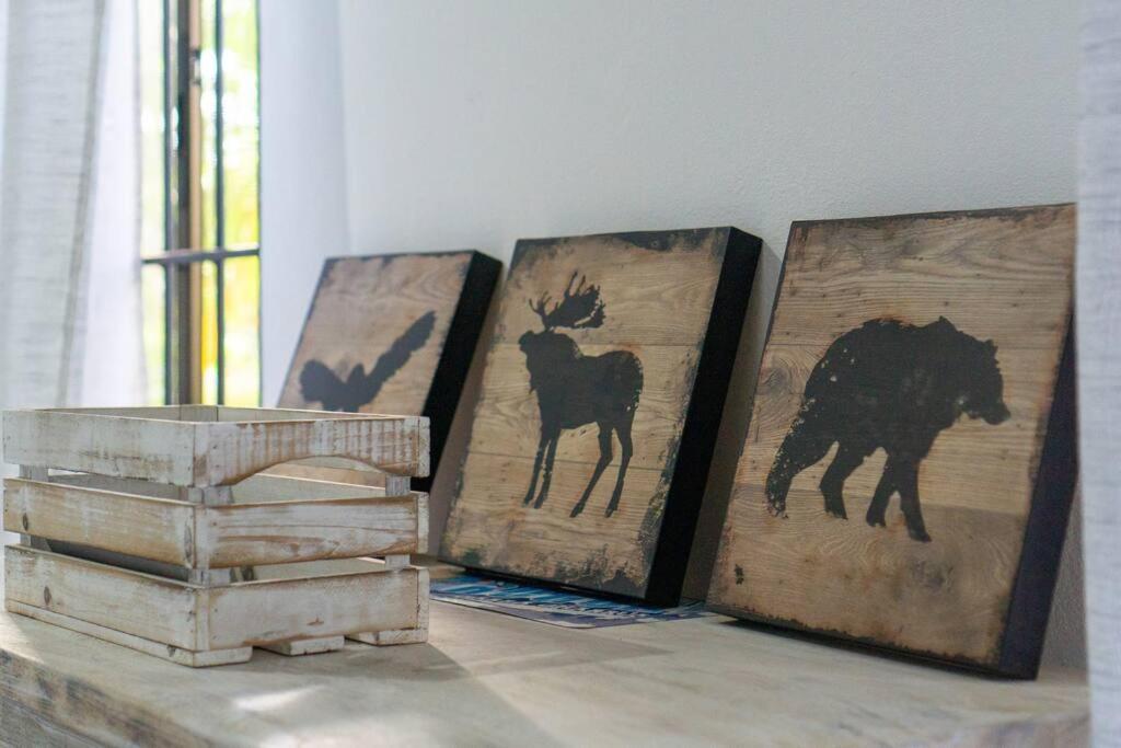 Samara Sunshine Retreat: Cozy Countryside Haven