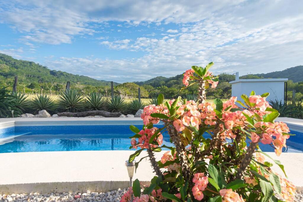Samara Sunshine Retreat: Cozy Countryside Haven