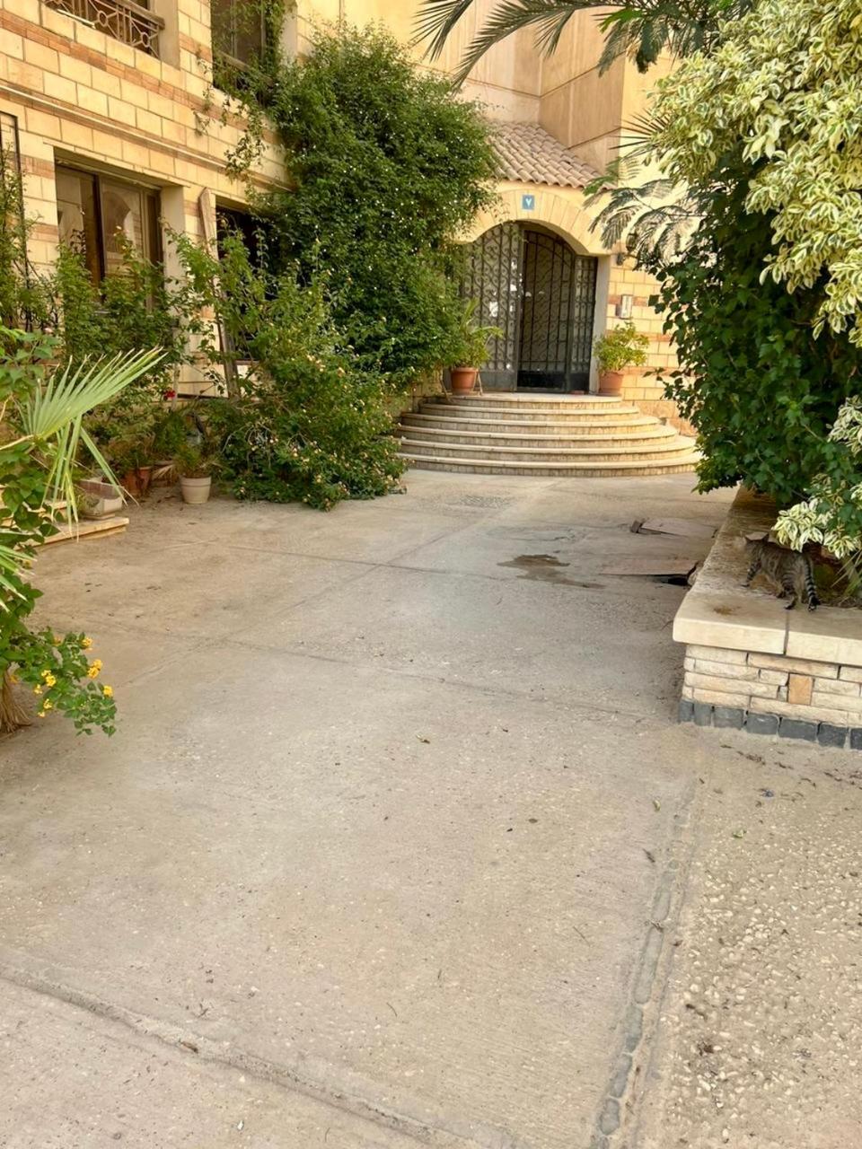 Beautiful cozy house in zayed