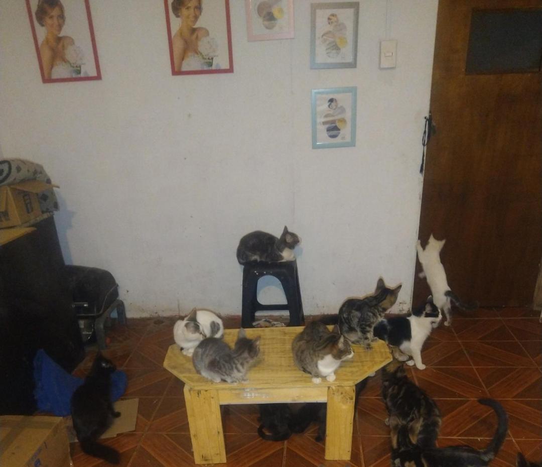 Casa de alojamiento