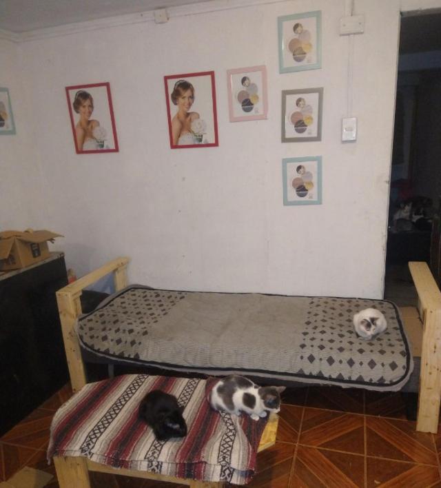 Casa de alojamiento