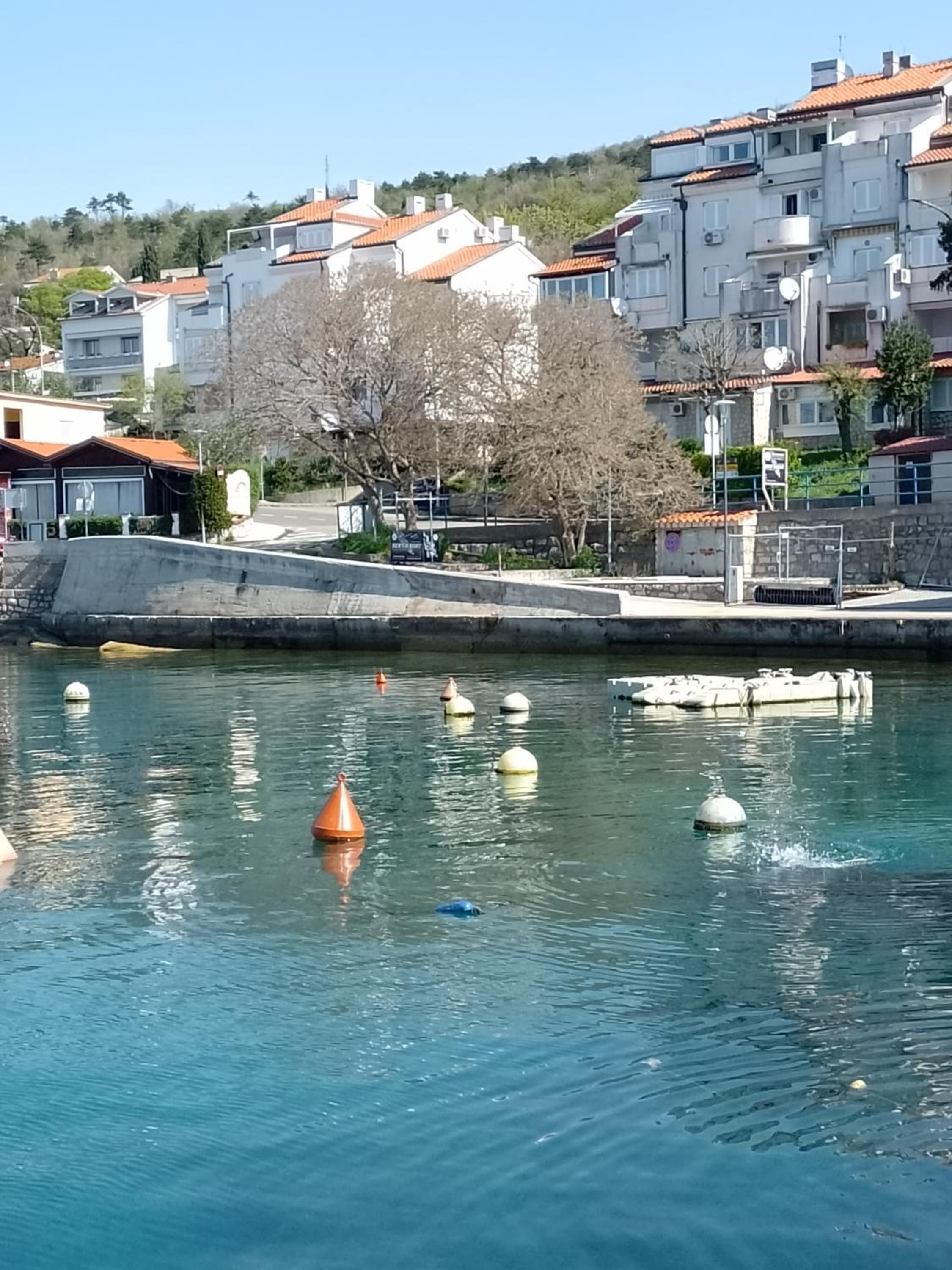 Apartman Knežina