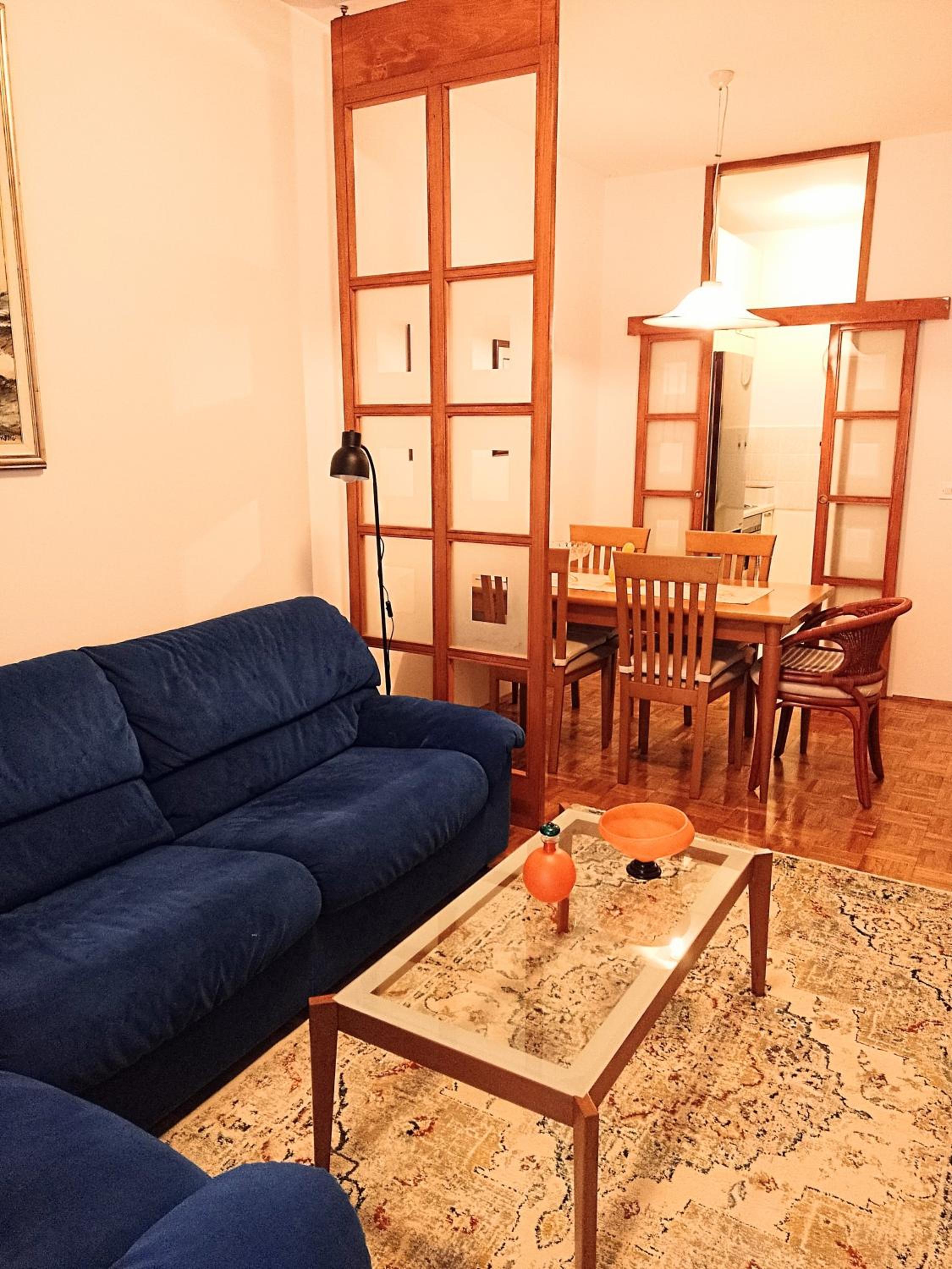 Apartman Knežina
