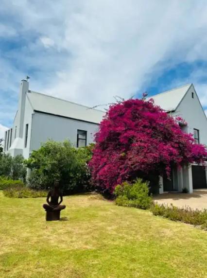 Spectacular Stellenbosch view 4