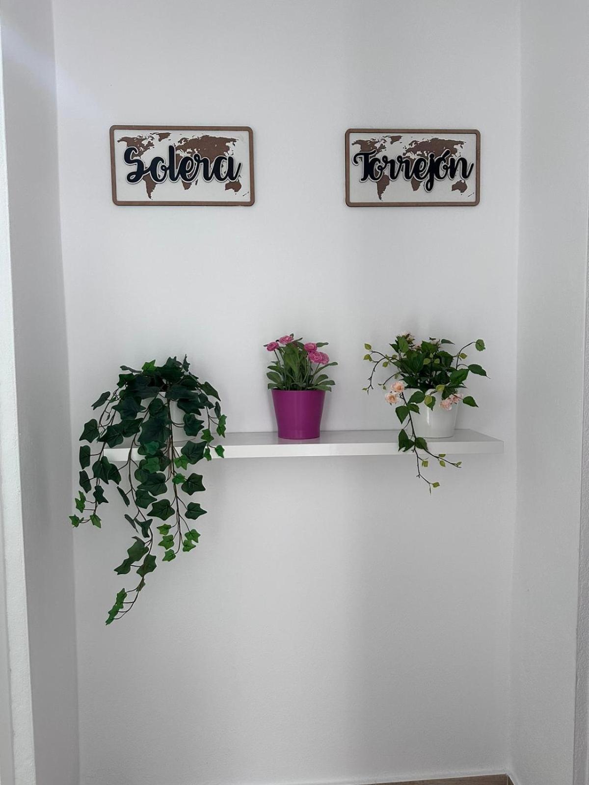 Solera
