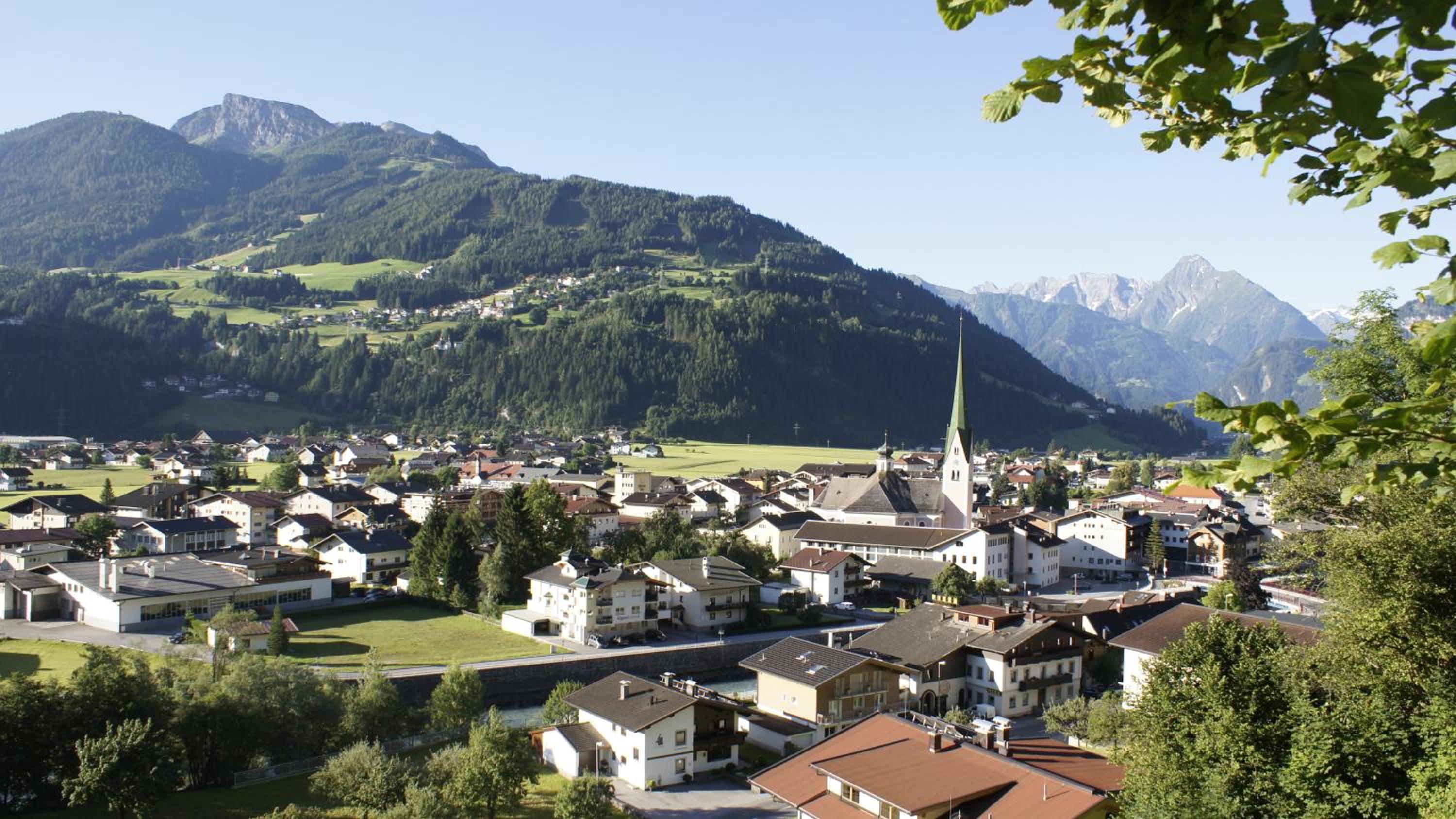 Alpenkönig