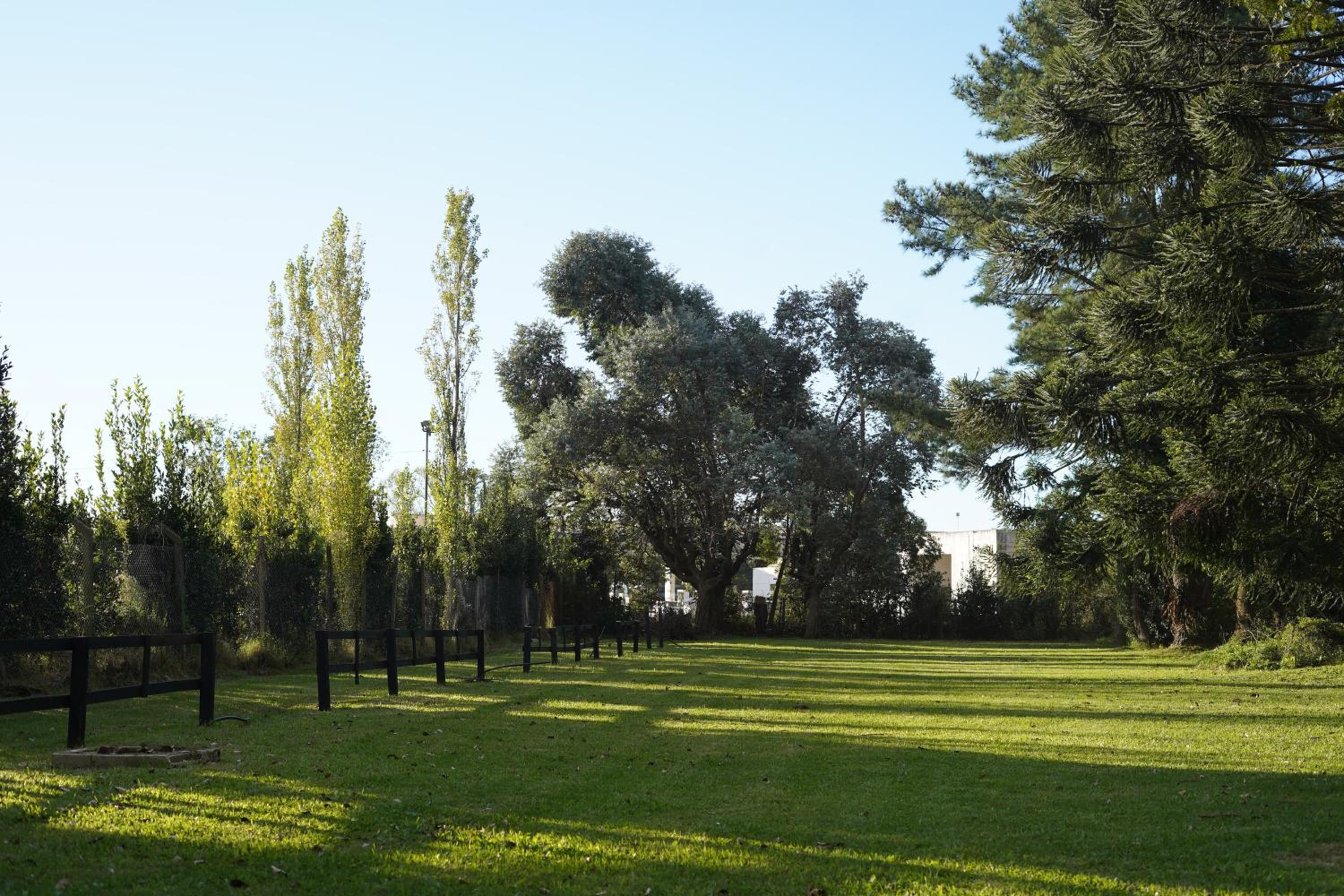 Araucarias Cabañas y Departamentos