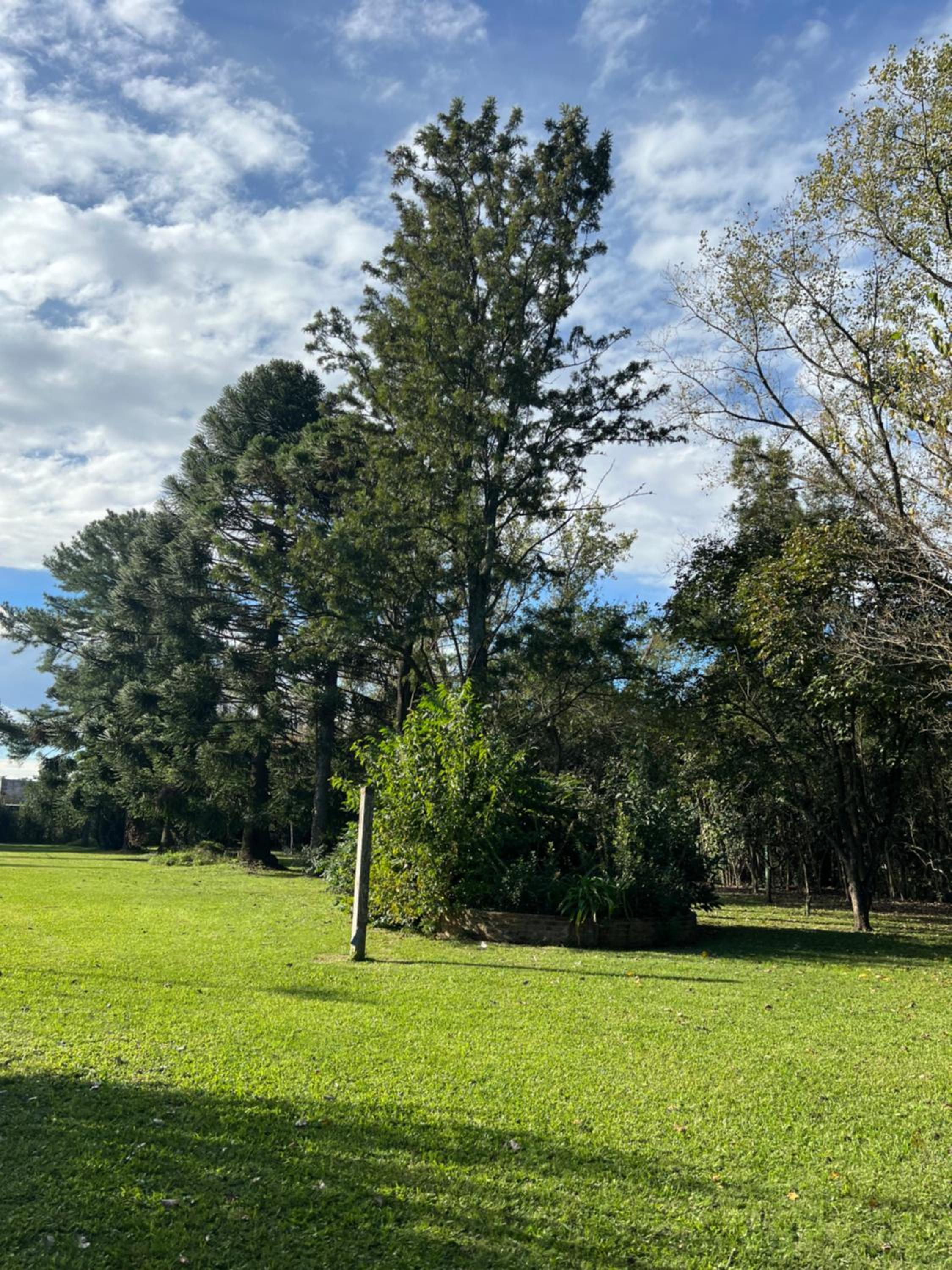 Araucarias Cabañas y Departamentos