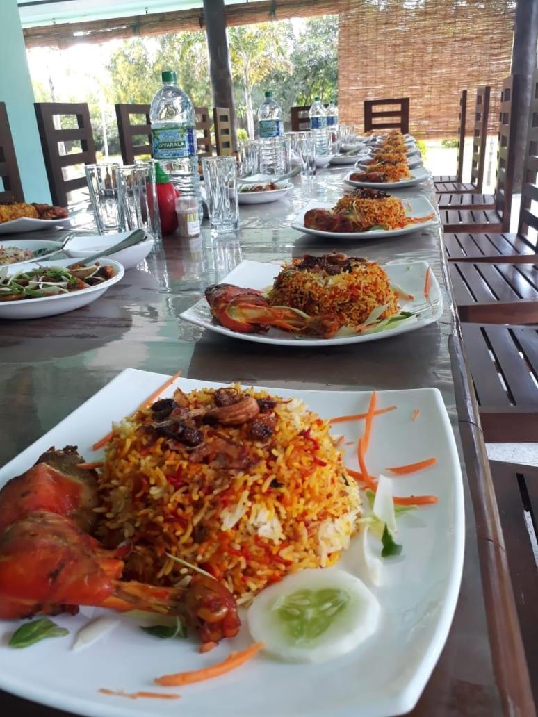 Greenbury Kite Hostel & Restaurant view 4