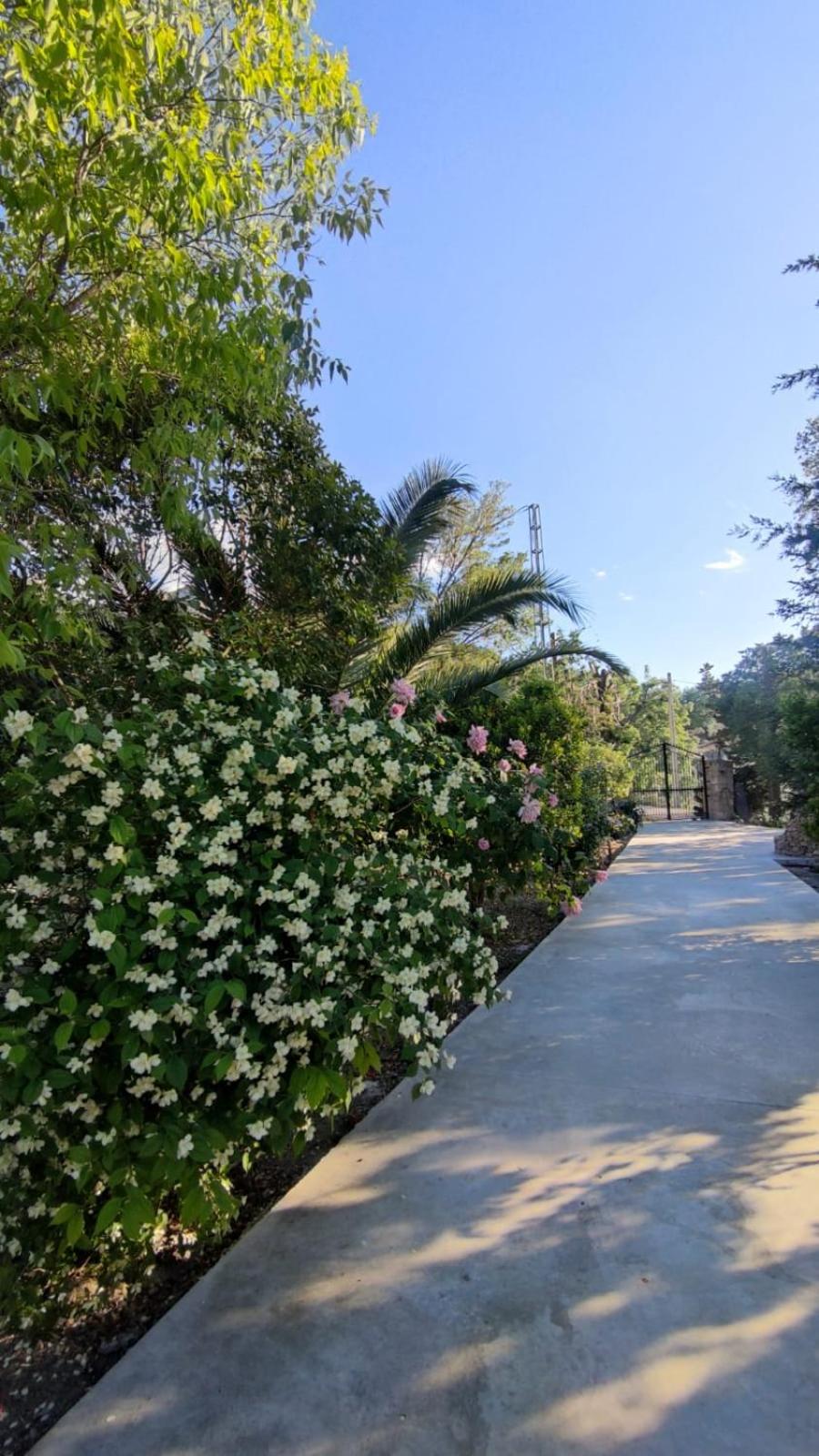 Villa Rosario