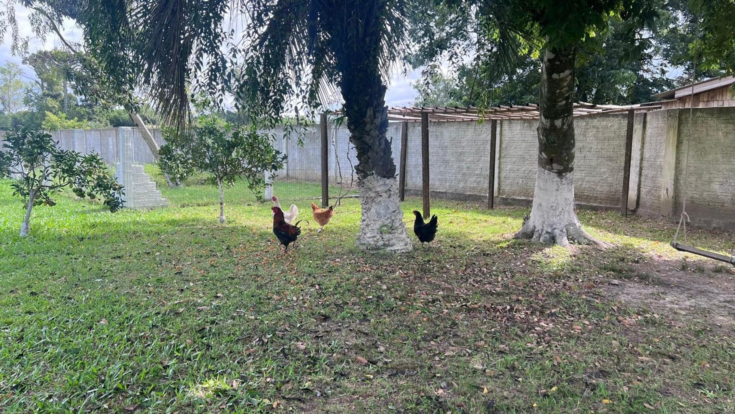 Cenário Perfeito para Seu Dia Especial: Chácara Recanto do Pinheiro