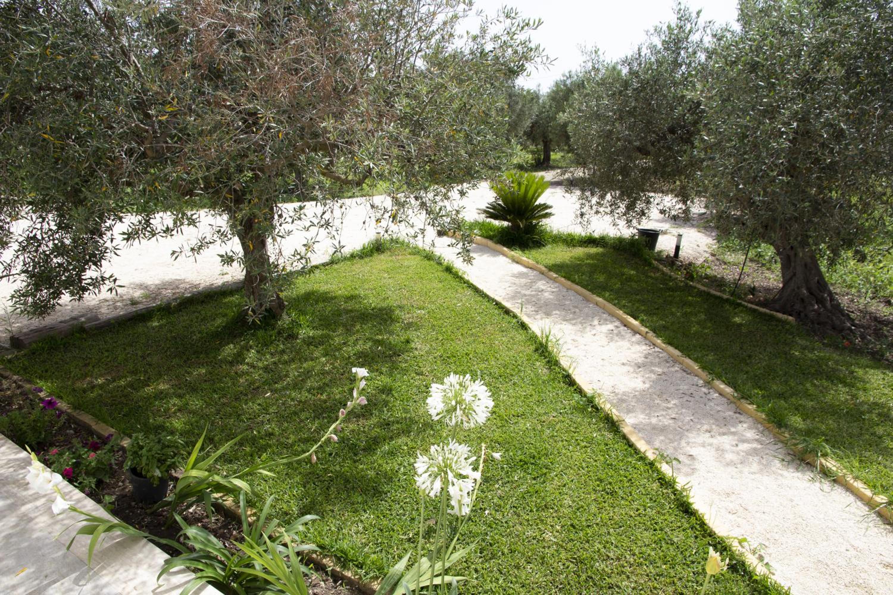 Casa Raineri photo 5