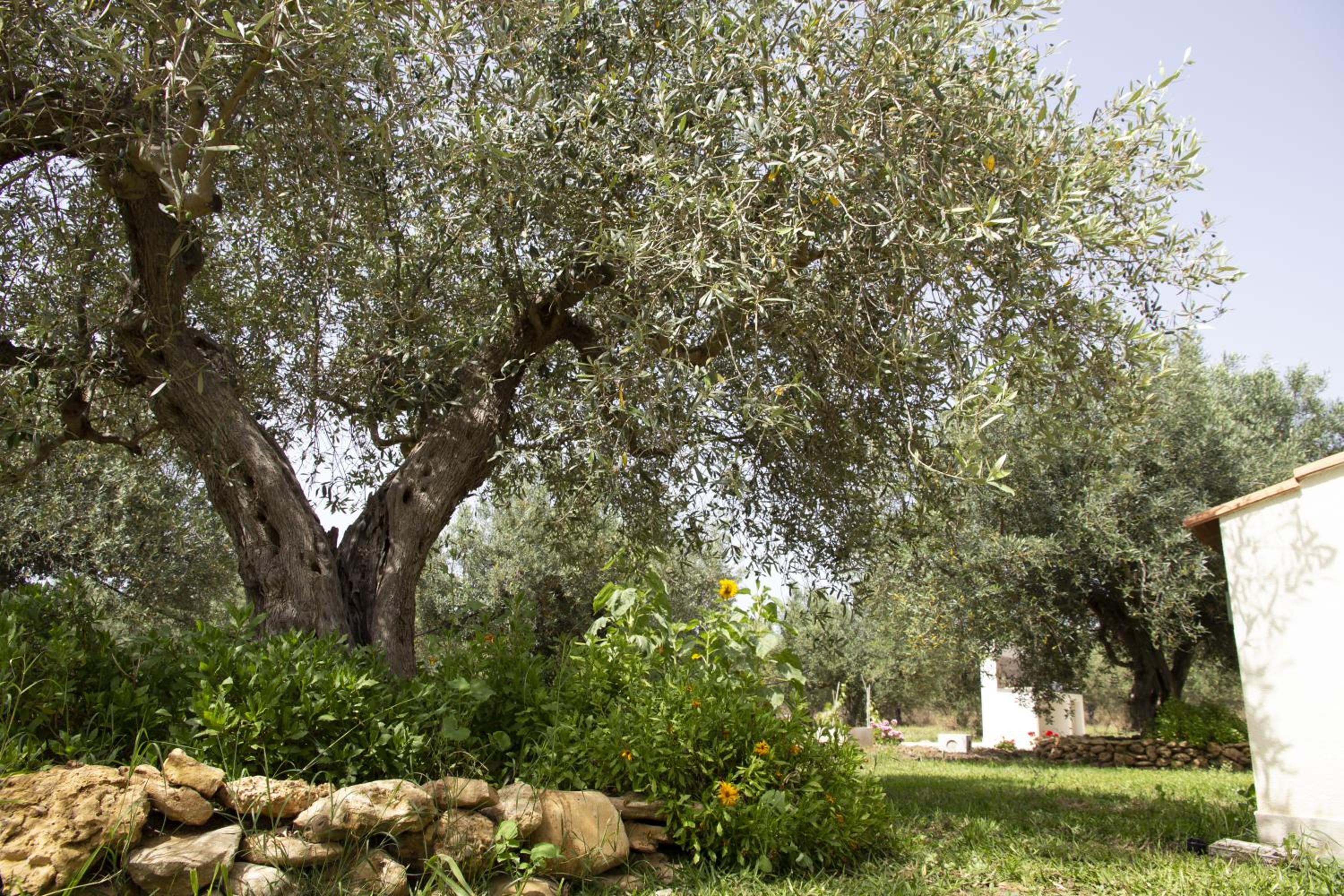 Casa Raineri photo 2