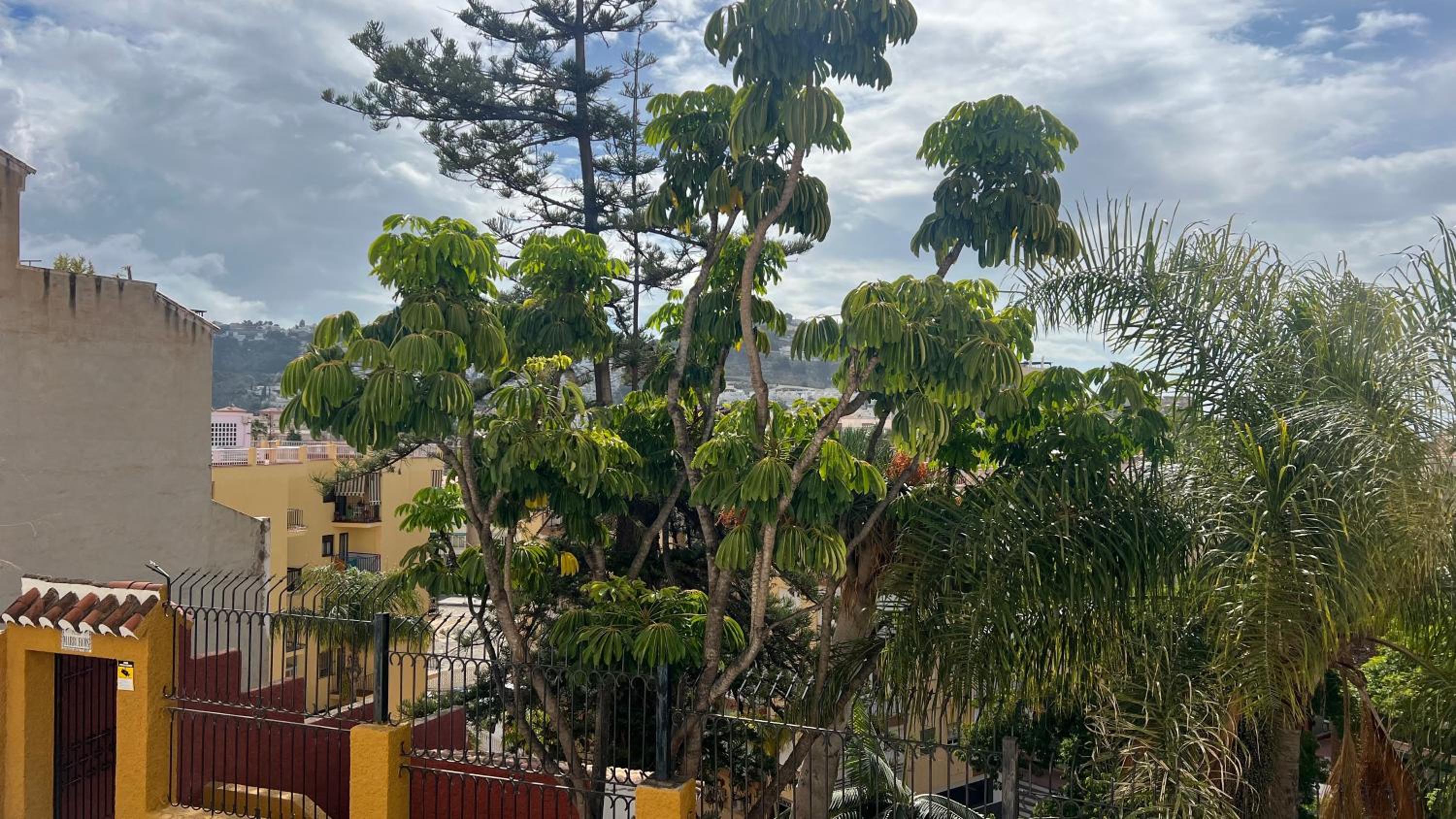 PIPA APARTMENTS