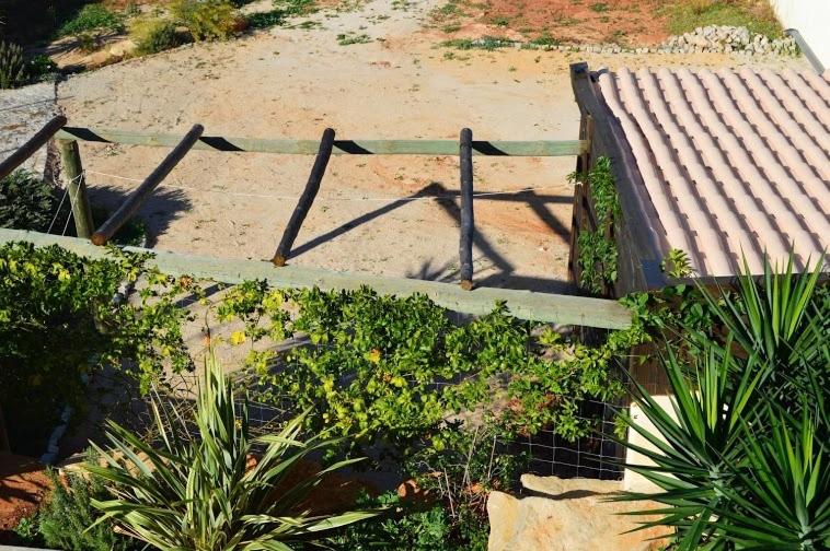 Almancil Vacations - Villa Luna - Property Image 4