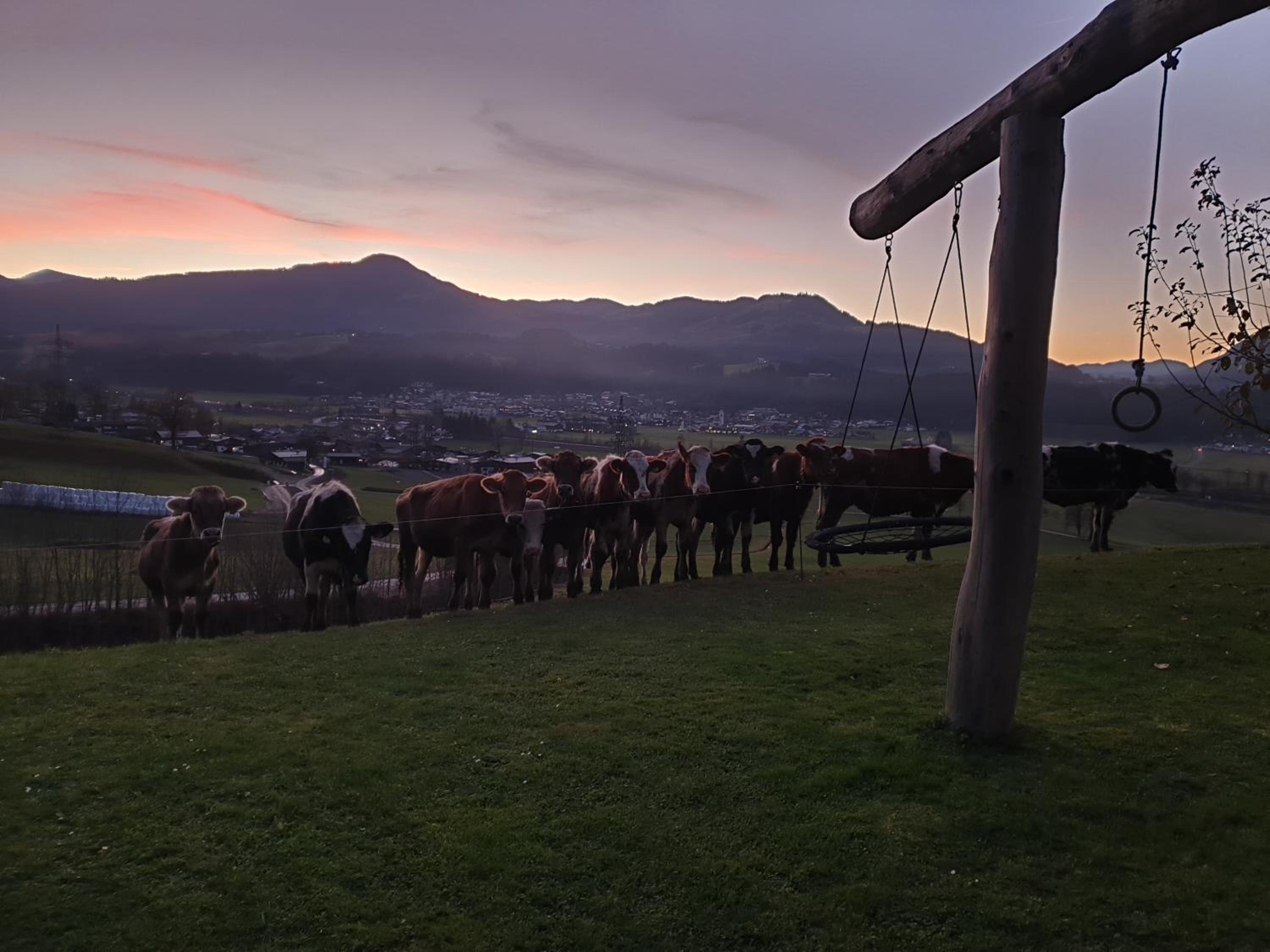 Griesbachhof-Wilder Kaiser