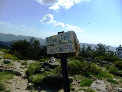 LA CASITA DEL CARRETERO