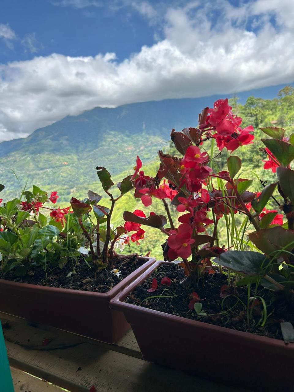 Cabañas Colibrí