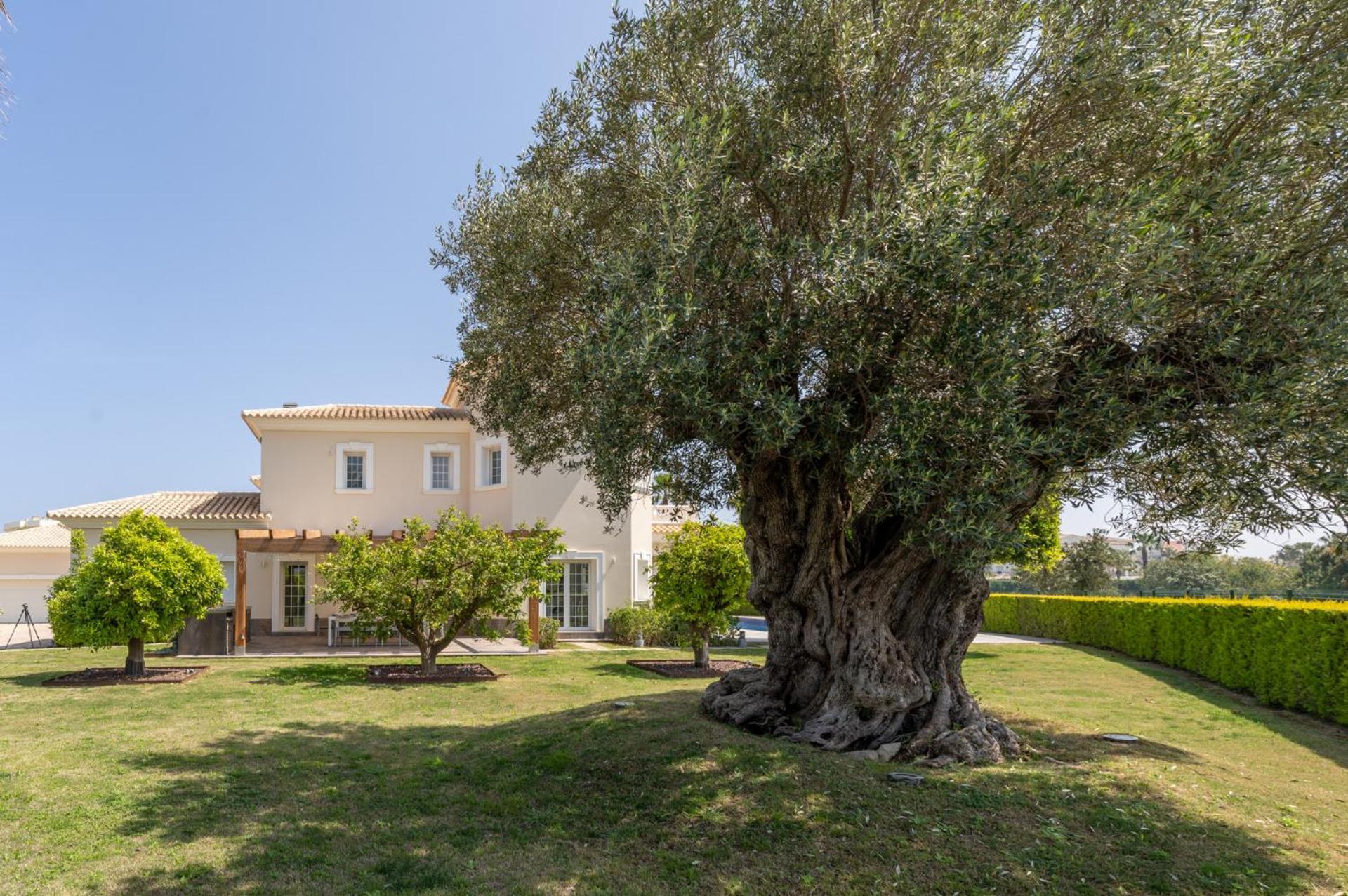 Villa Panorama