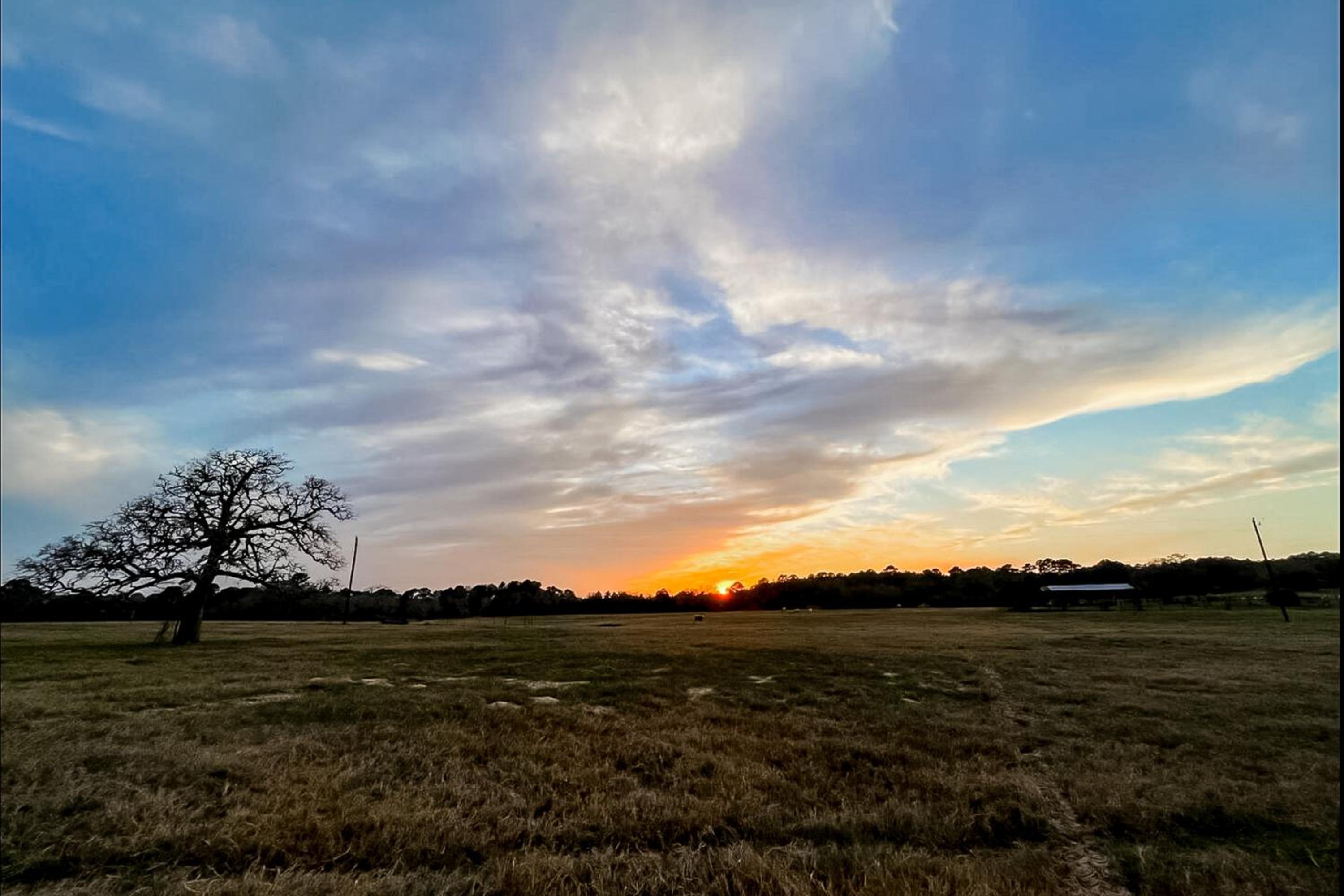 Fenced Yard! Peaceful Retreat in Smithville
